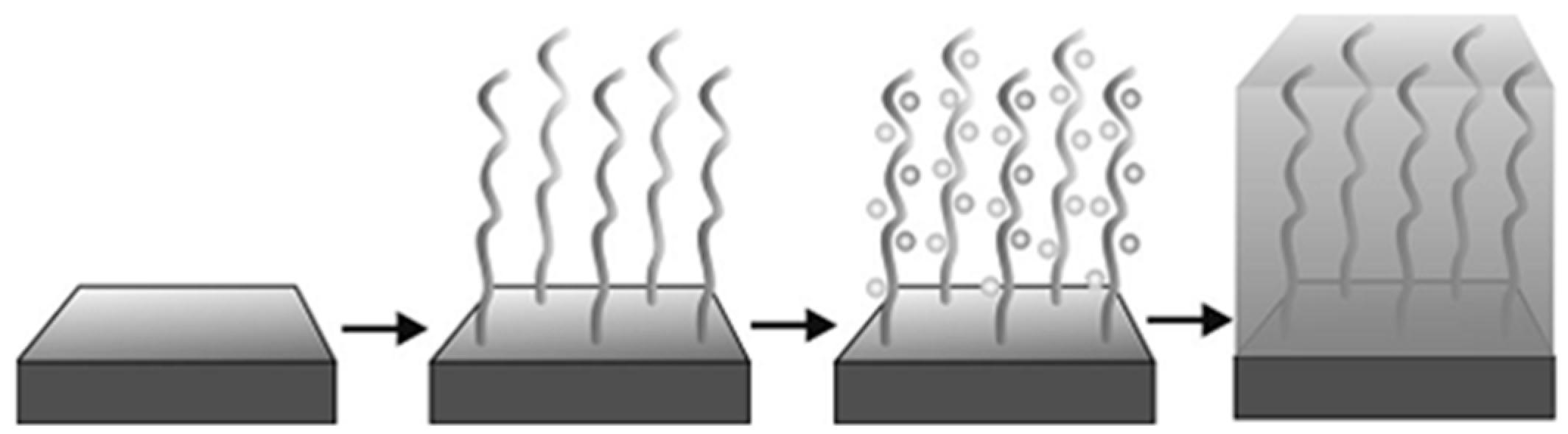 Polymers 10 00573 g001
