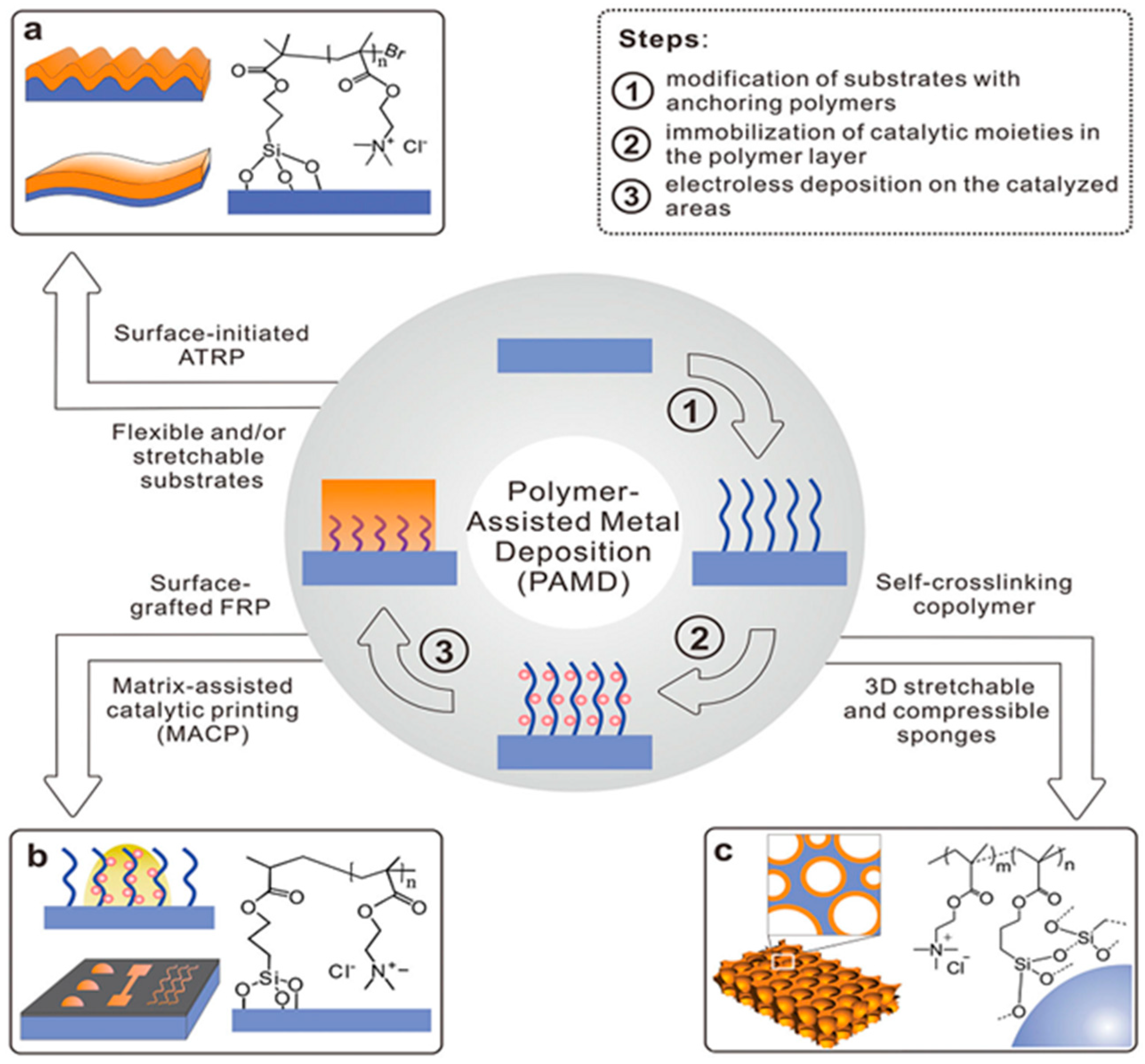 Polymers 10 00573 g002