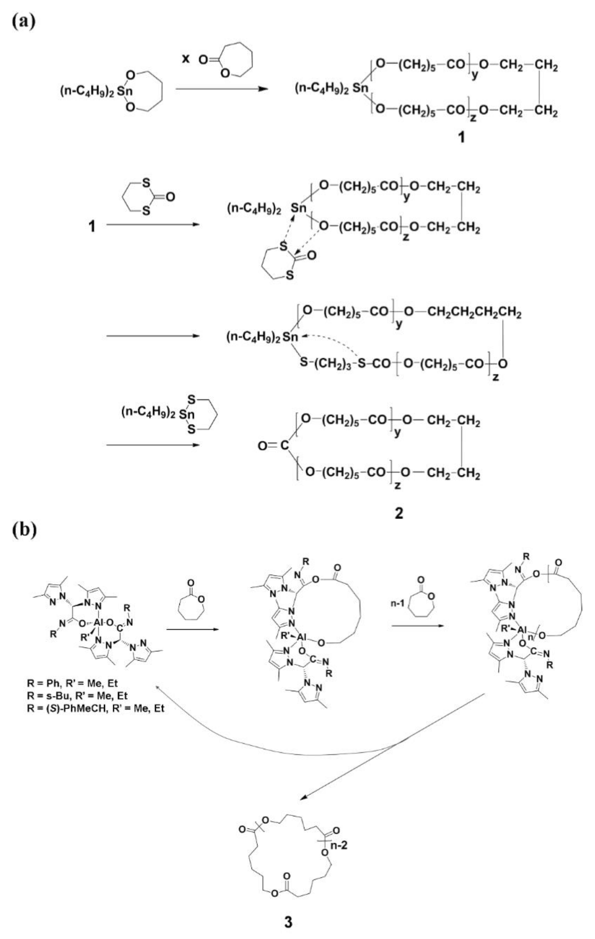 Polymers 10 00577 sch001