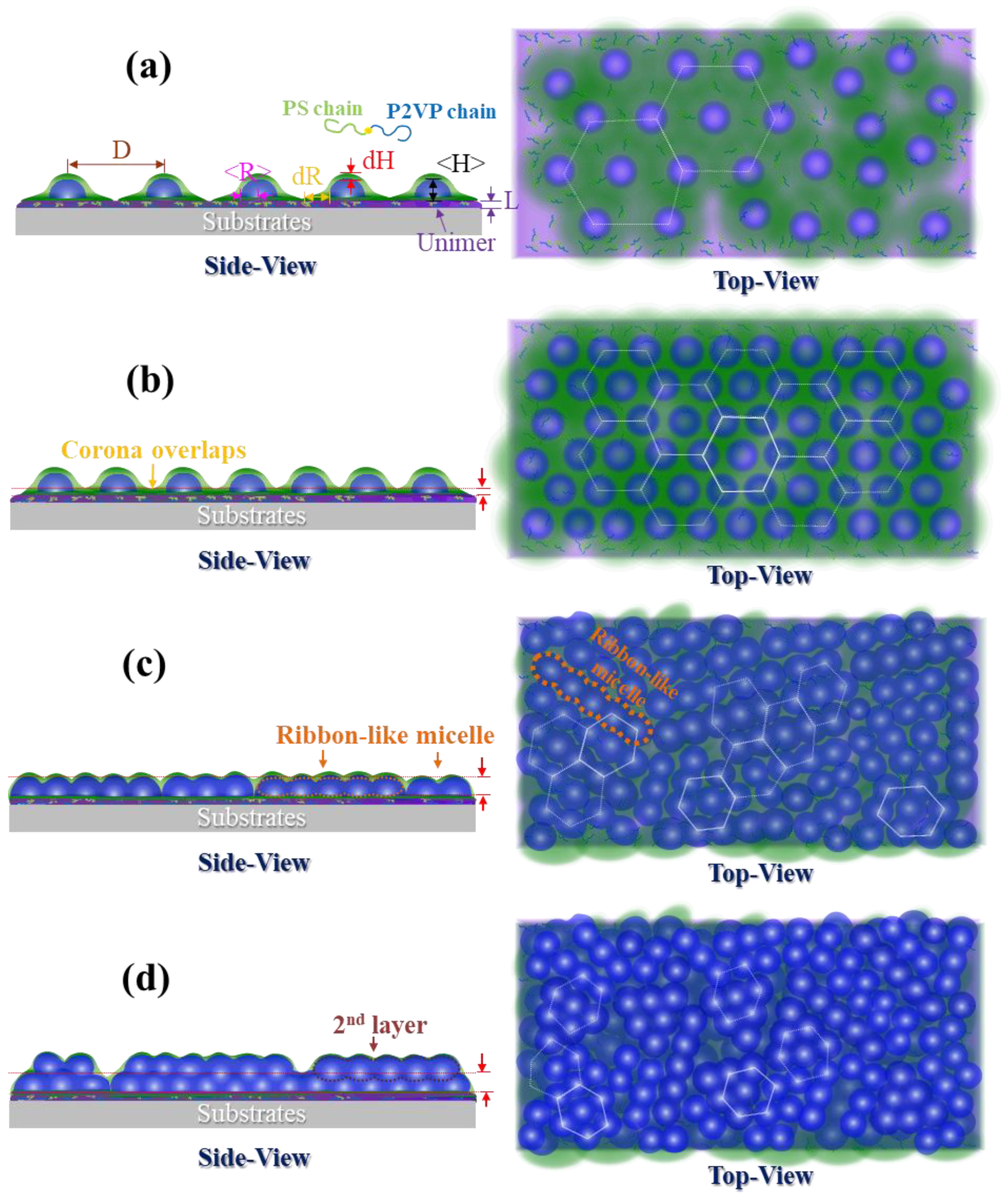 Polymers 10 00597 g003