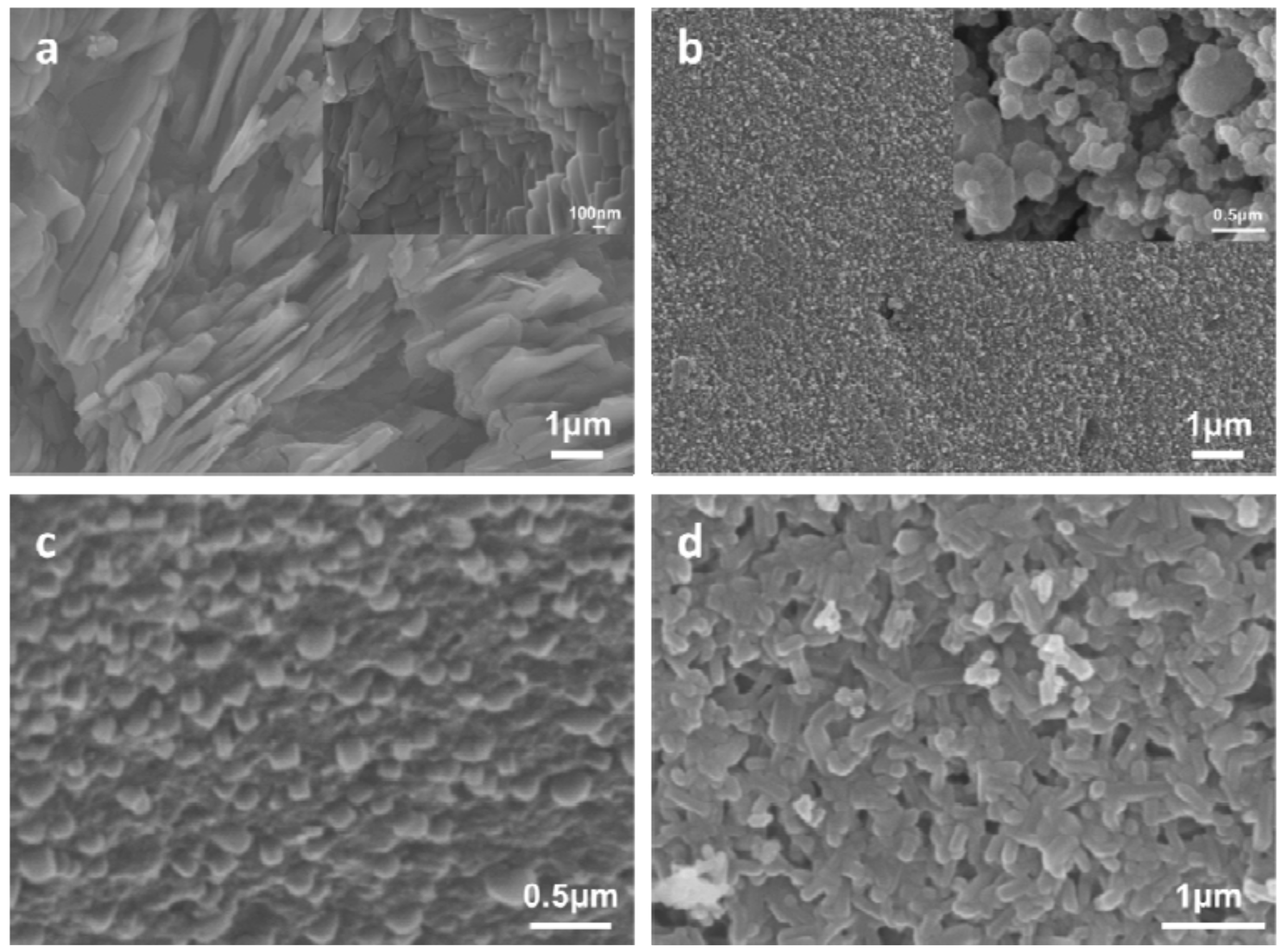 Polymers 10 00625 g003