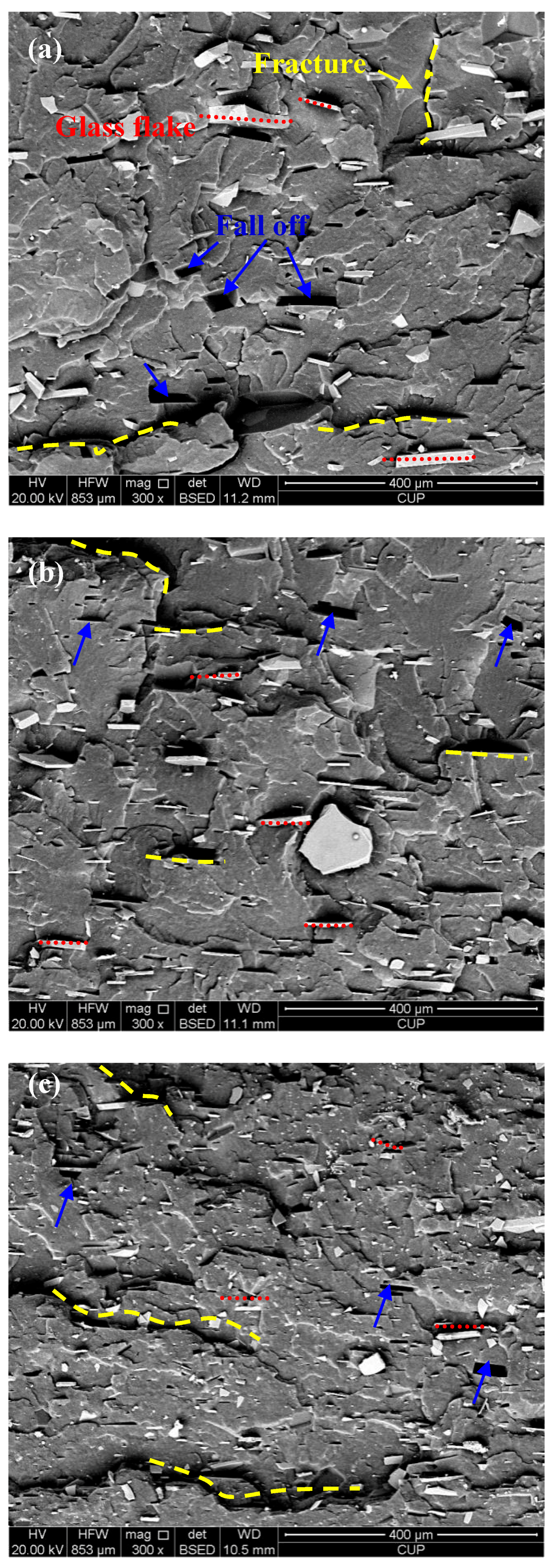 Polymers 10 00705 g005