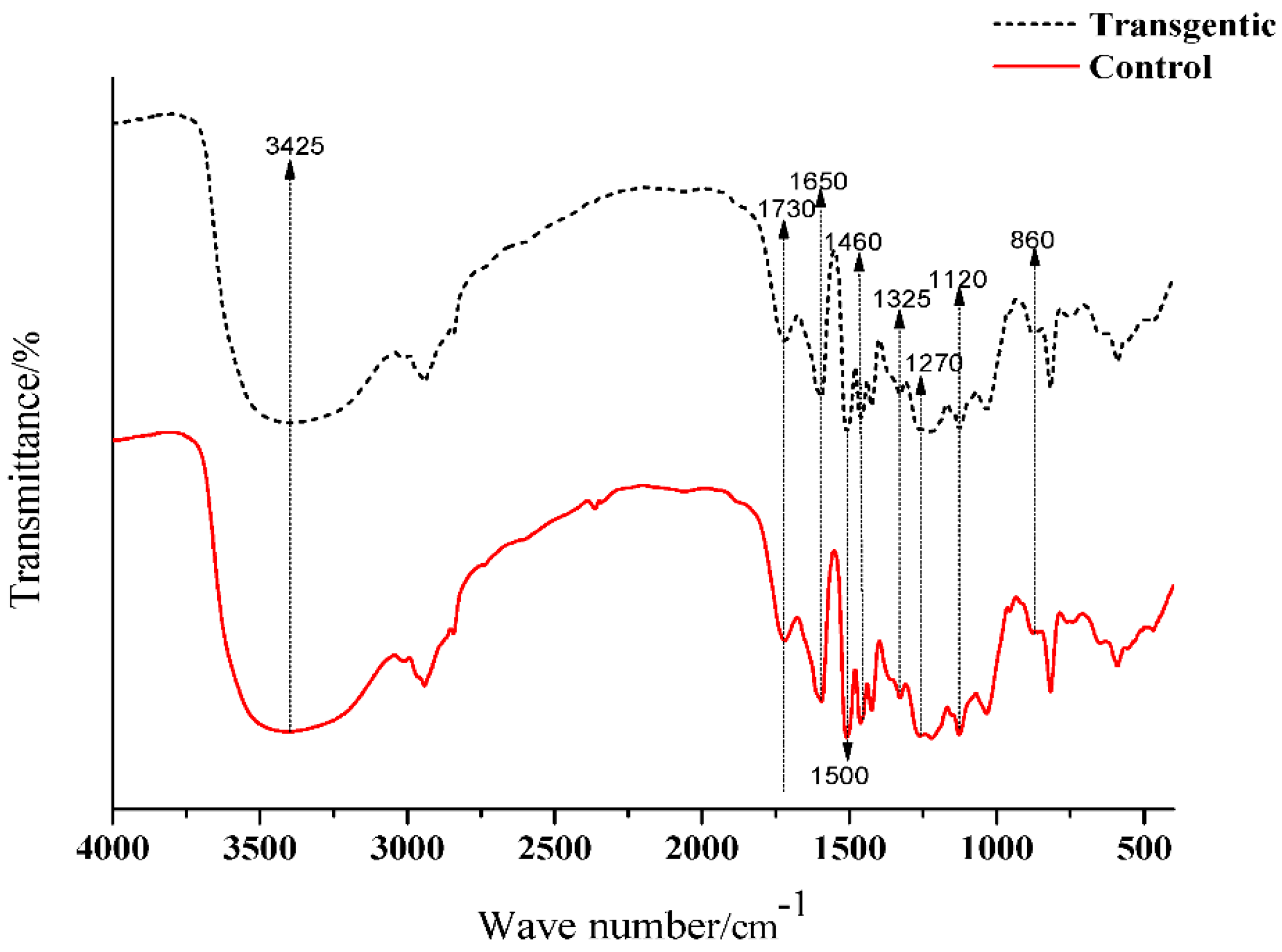 Polymers 10 00727 g002