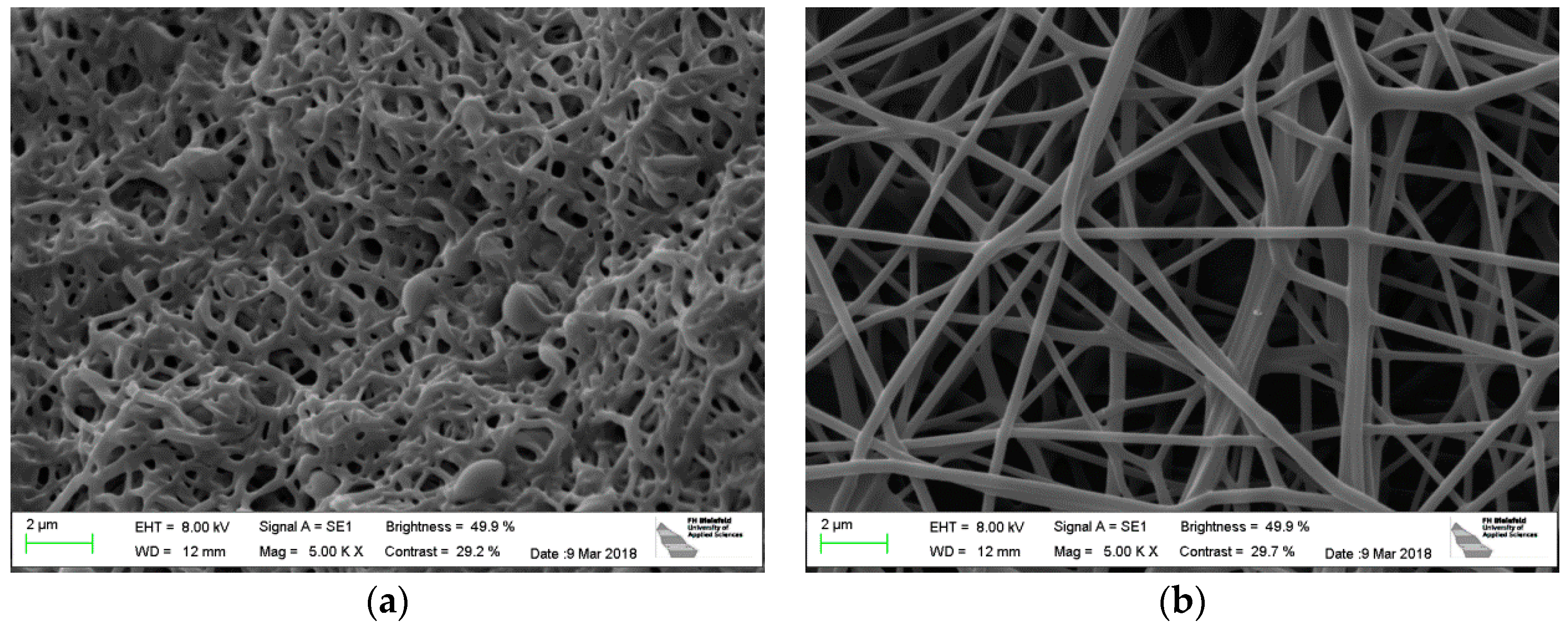 Polymers 10 00735 g002