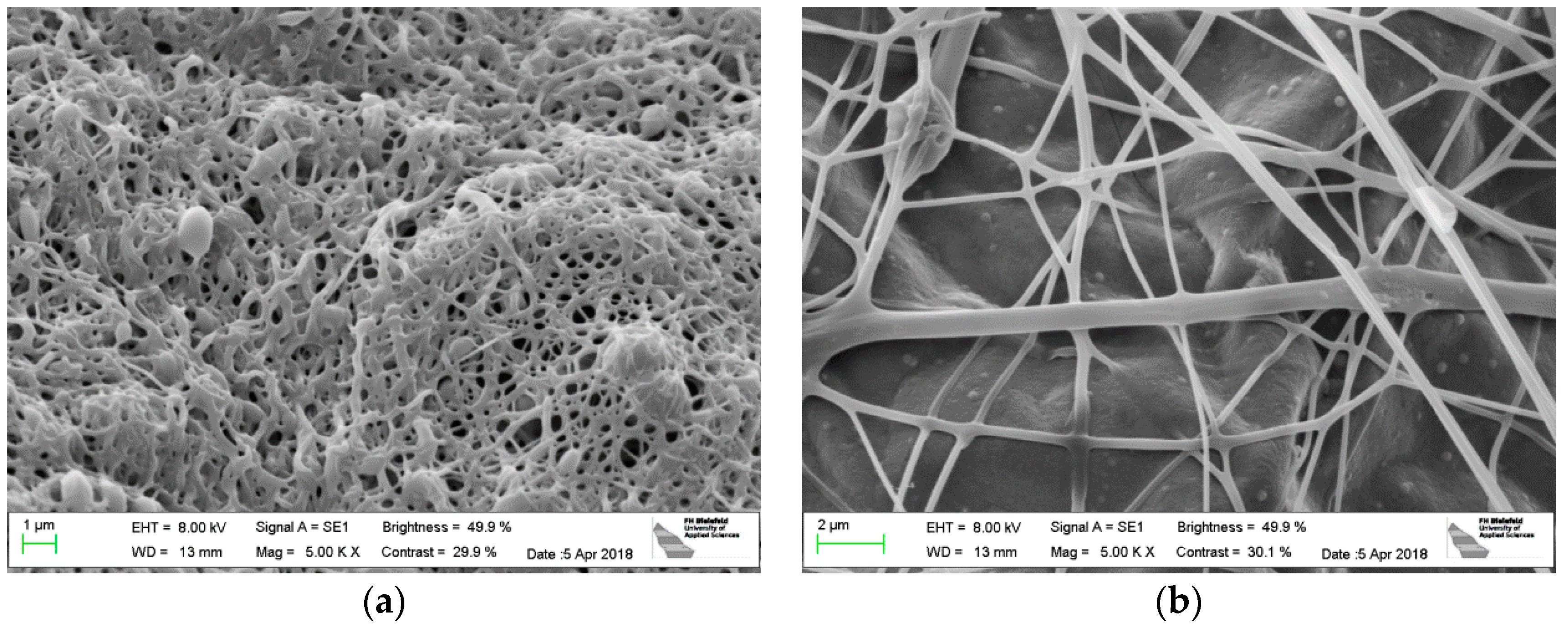 Polymers 10 00735 g007