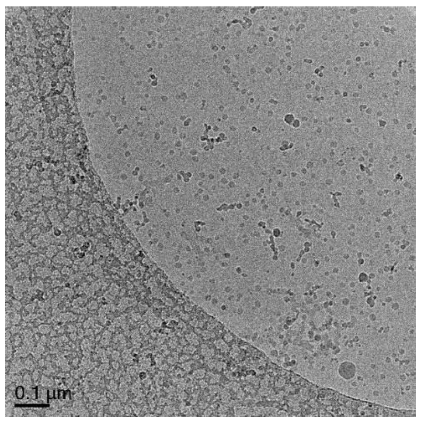 Polymers 10 00774 g009
