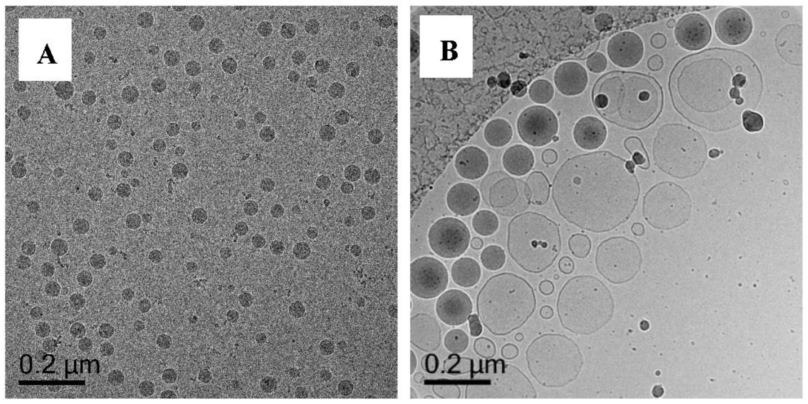 Polymers 10 00774 g010
