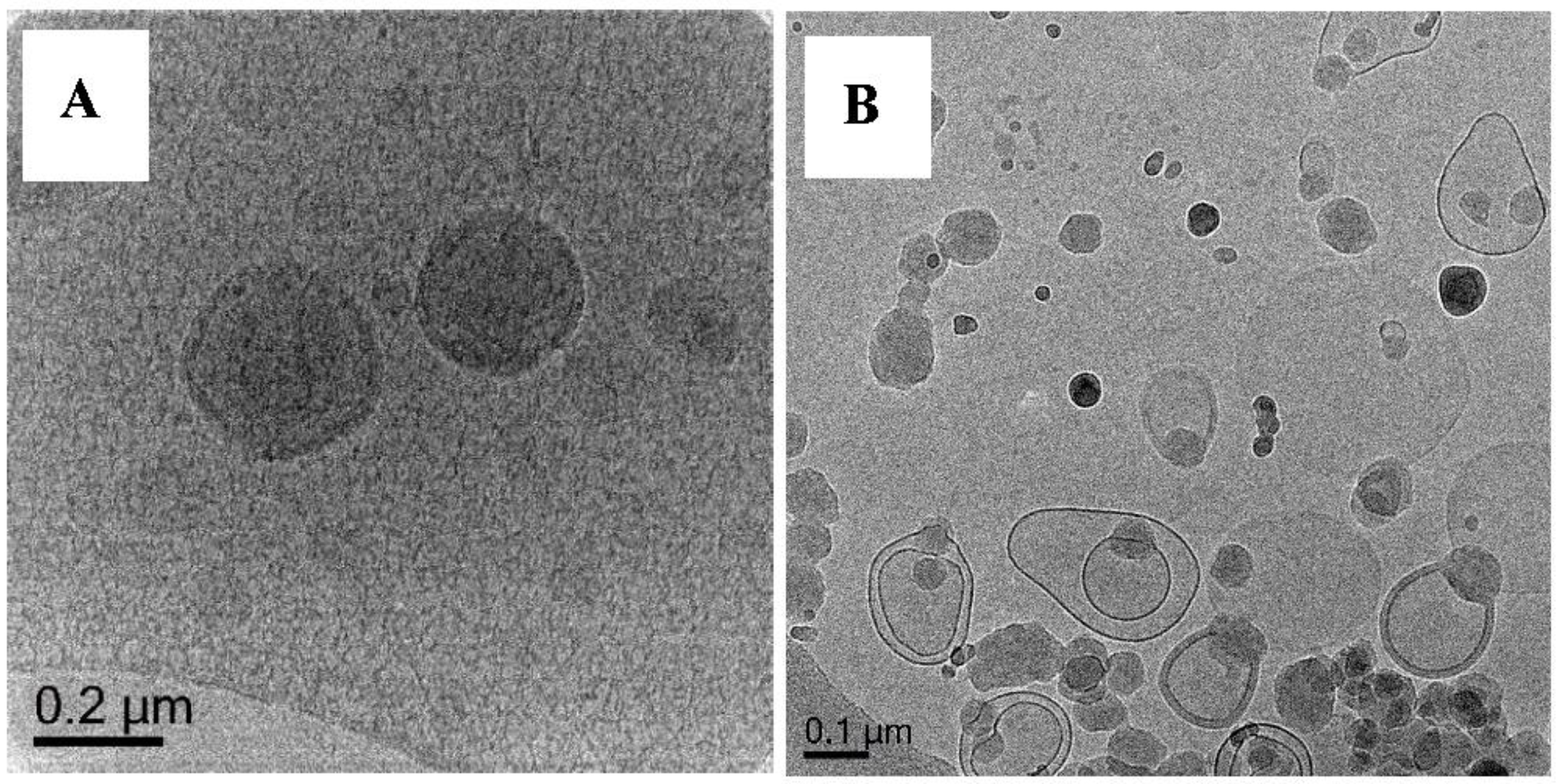Polymers 10 00774 g011