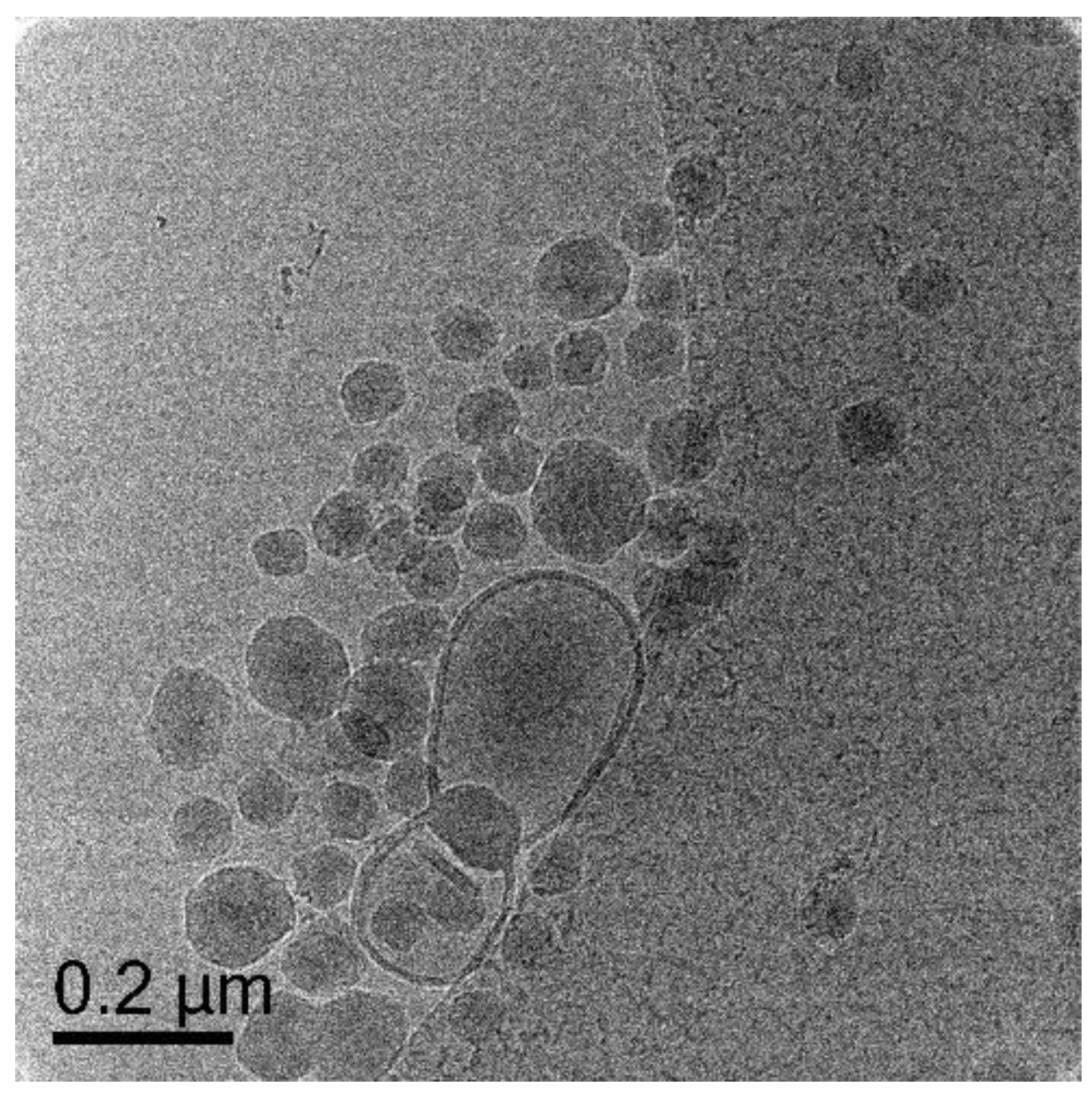 Polymers 10 00774 g012