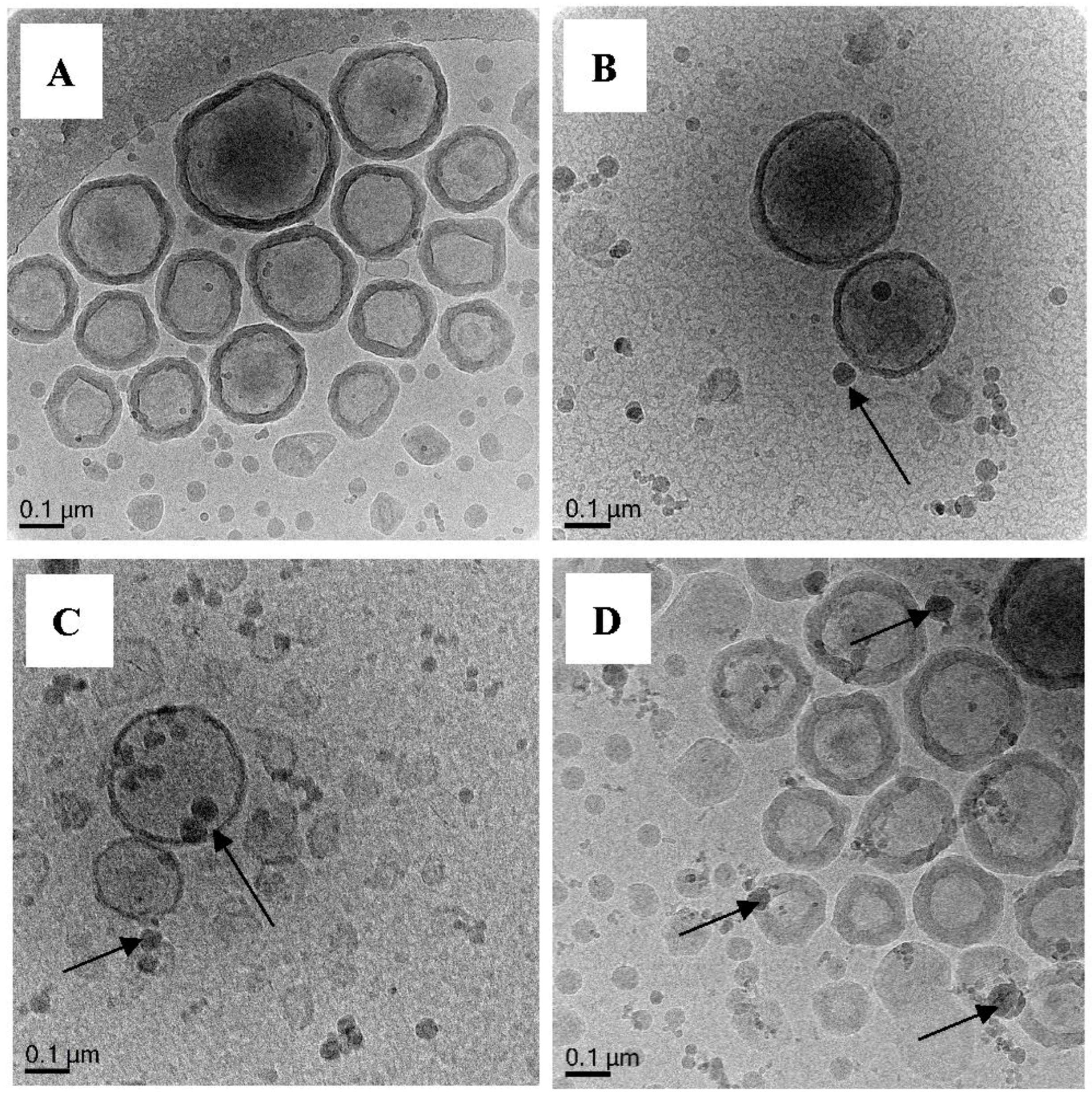 Polymers 10 00774 g013