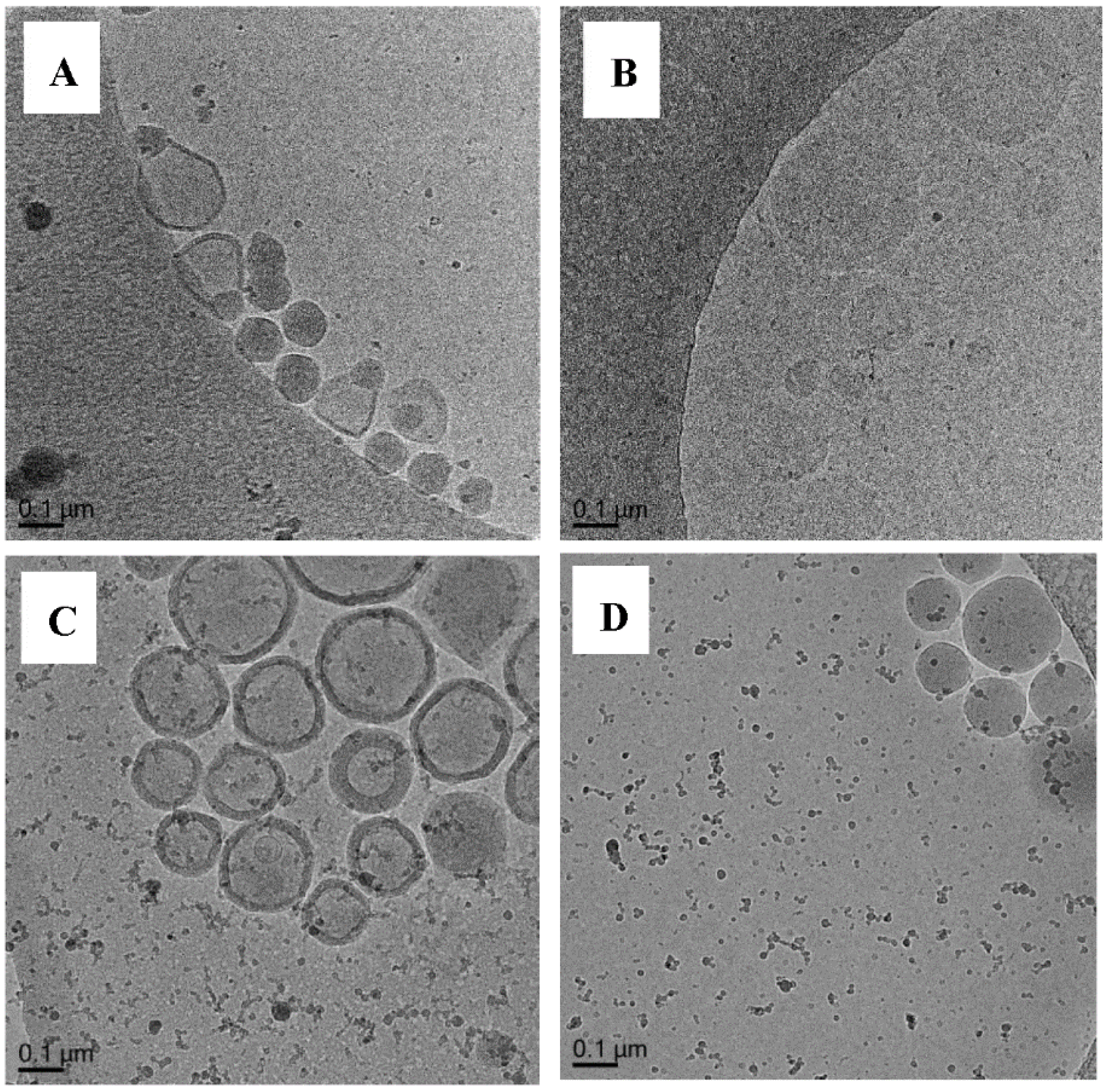 Polymers 10 00774 g015