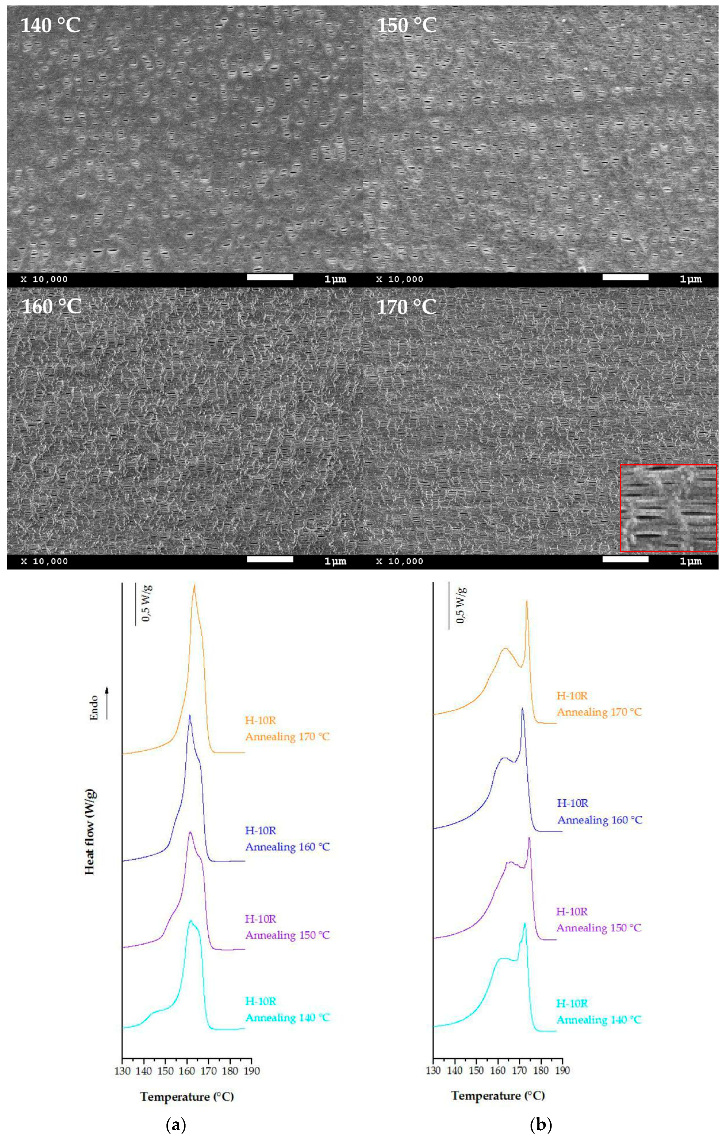 Polymers 10 00854 g004