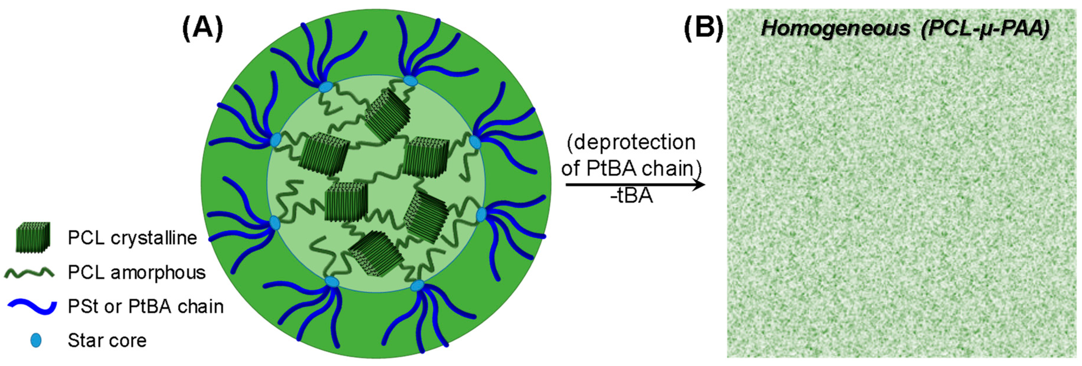 Polymers 10 00858 g011