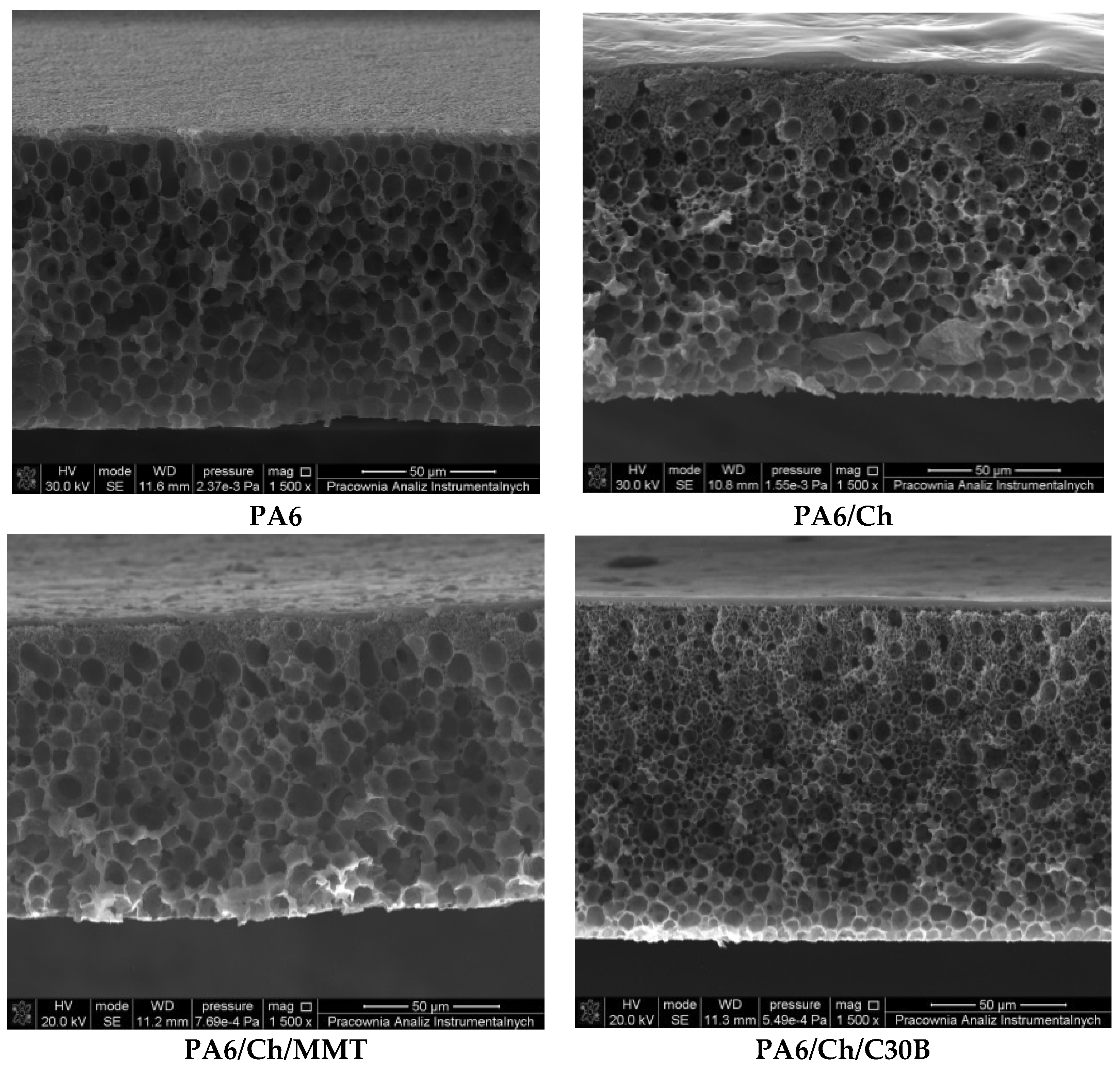 Polymers 10 00868 g005