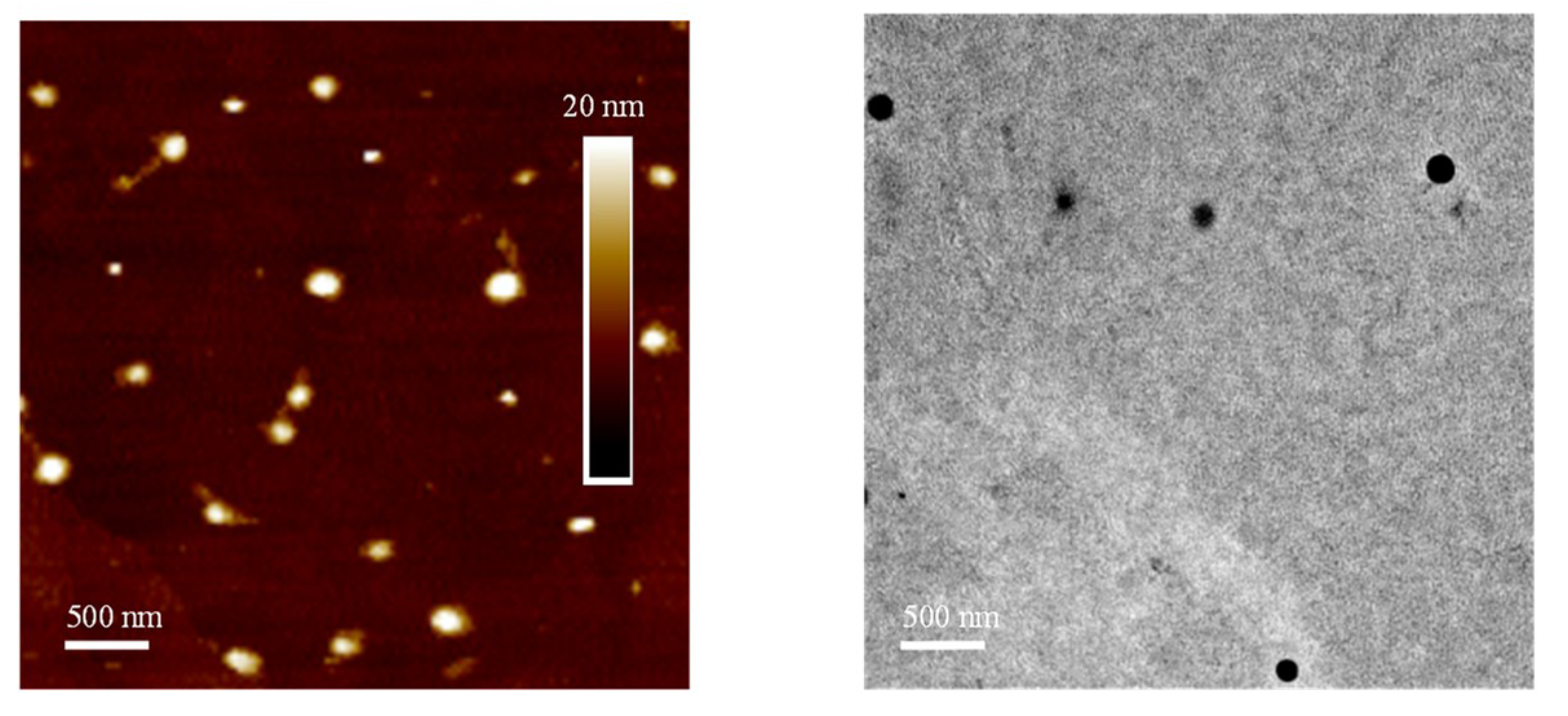 Polymers 10 00936 g011