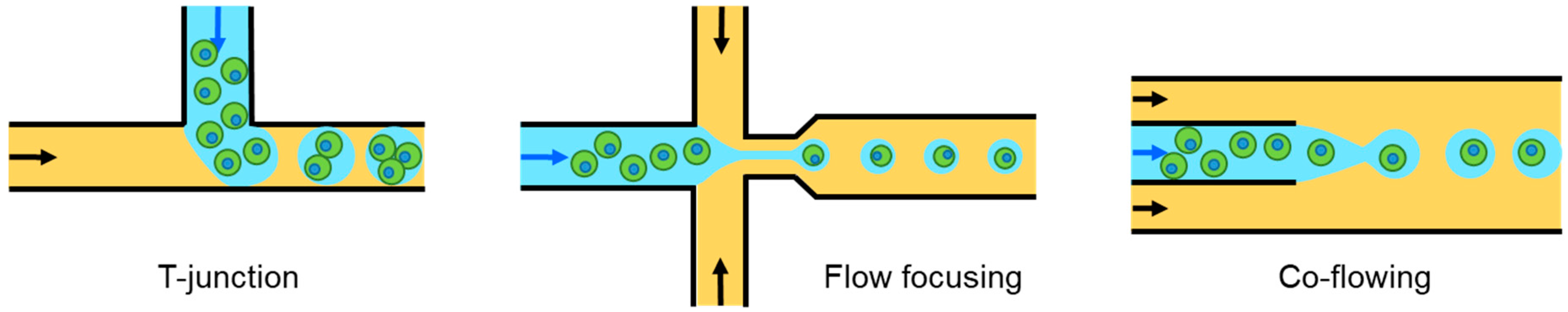 Polymers 10 00997 g004