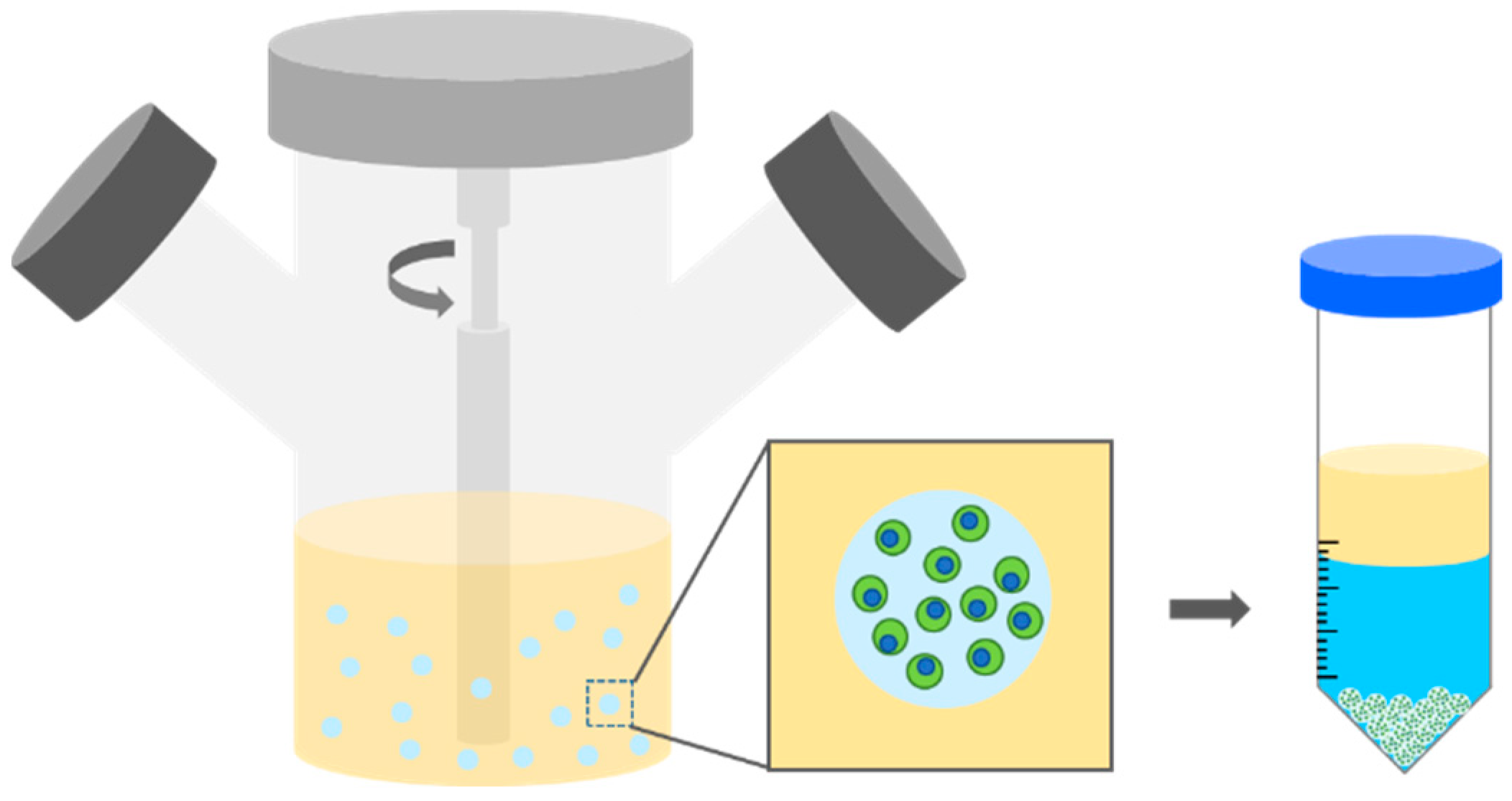 Polymers 10 00997 g006