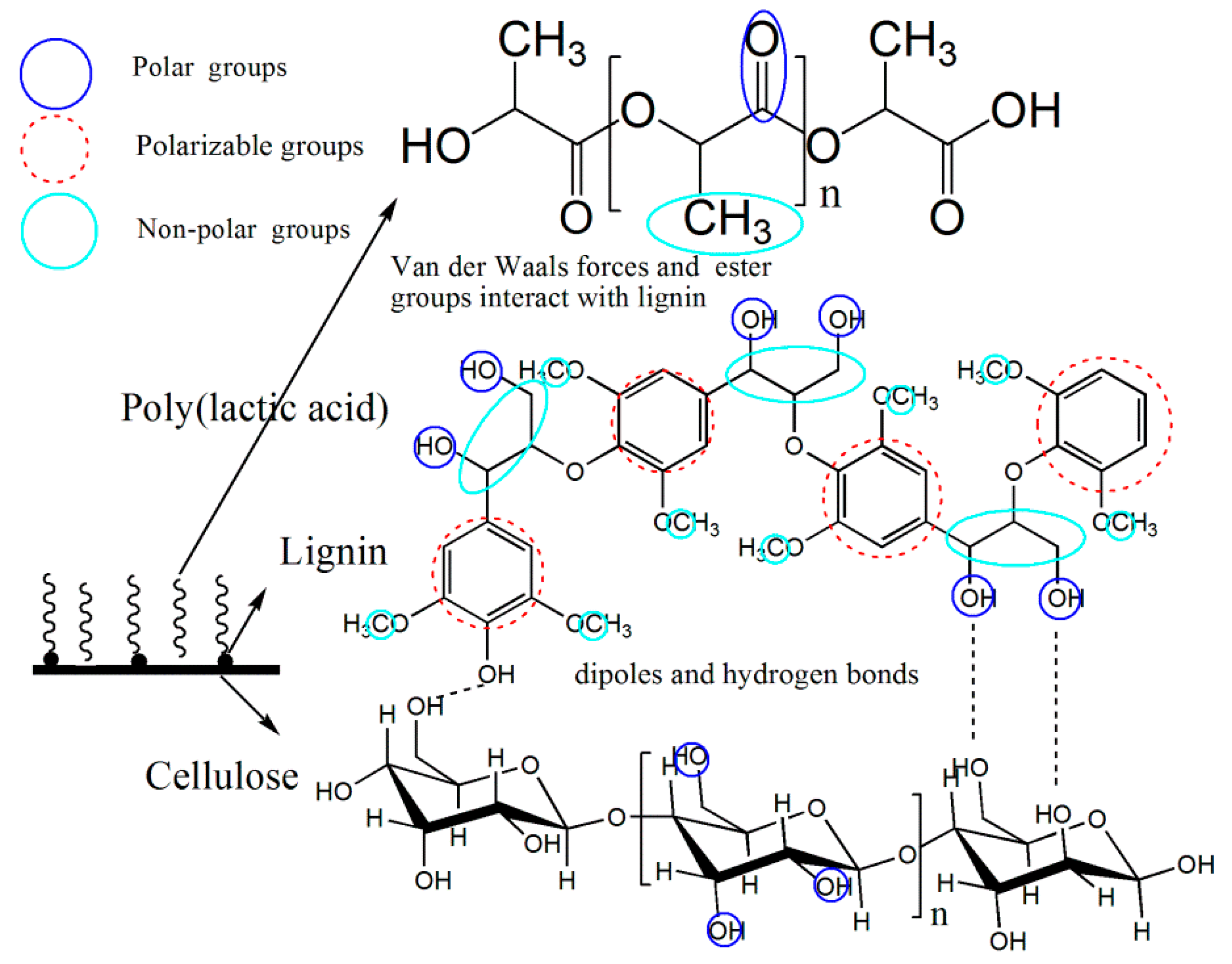 Polymers 10 01013 g008