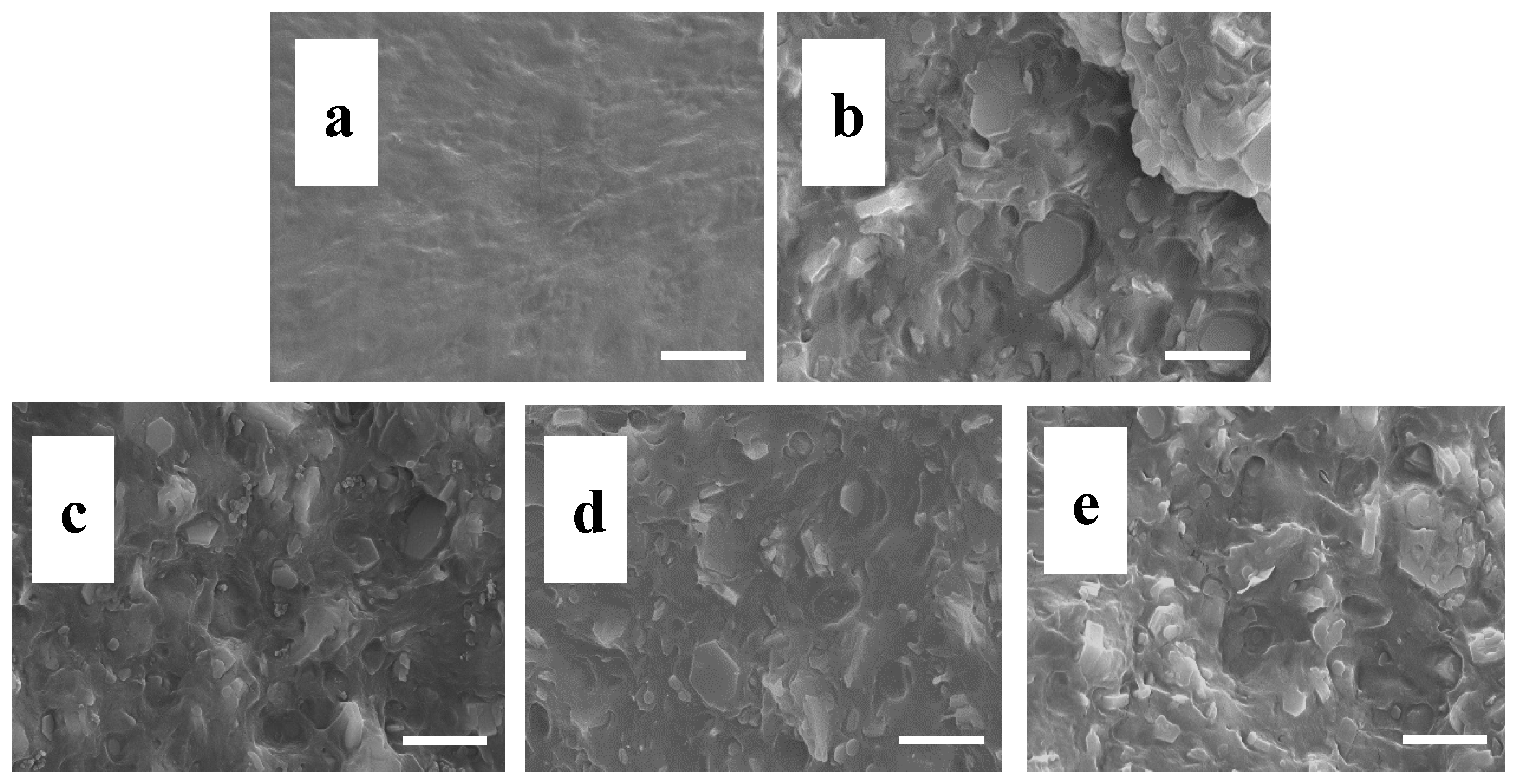 Polymers 10 01028 g009