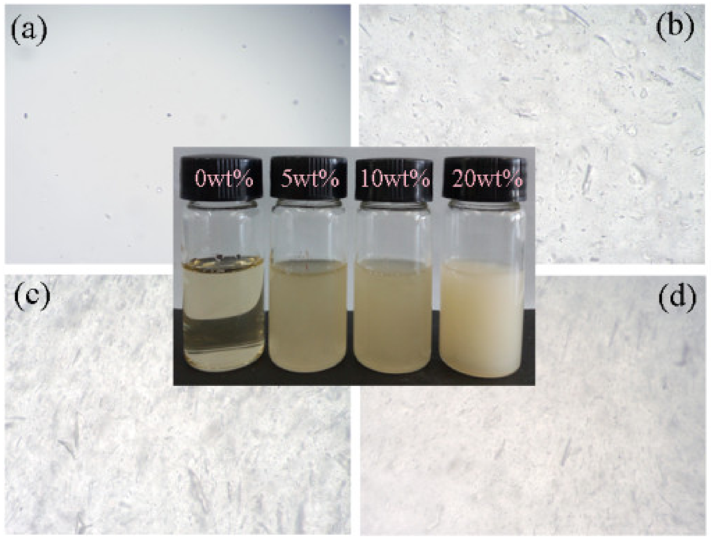 Polymers 10 01046 g002