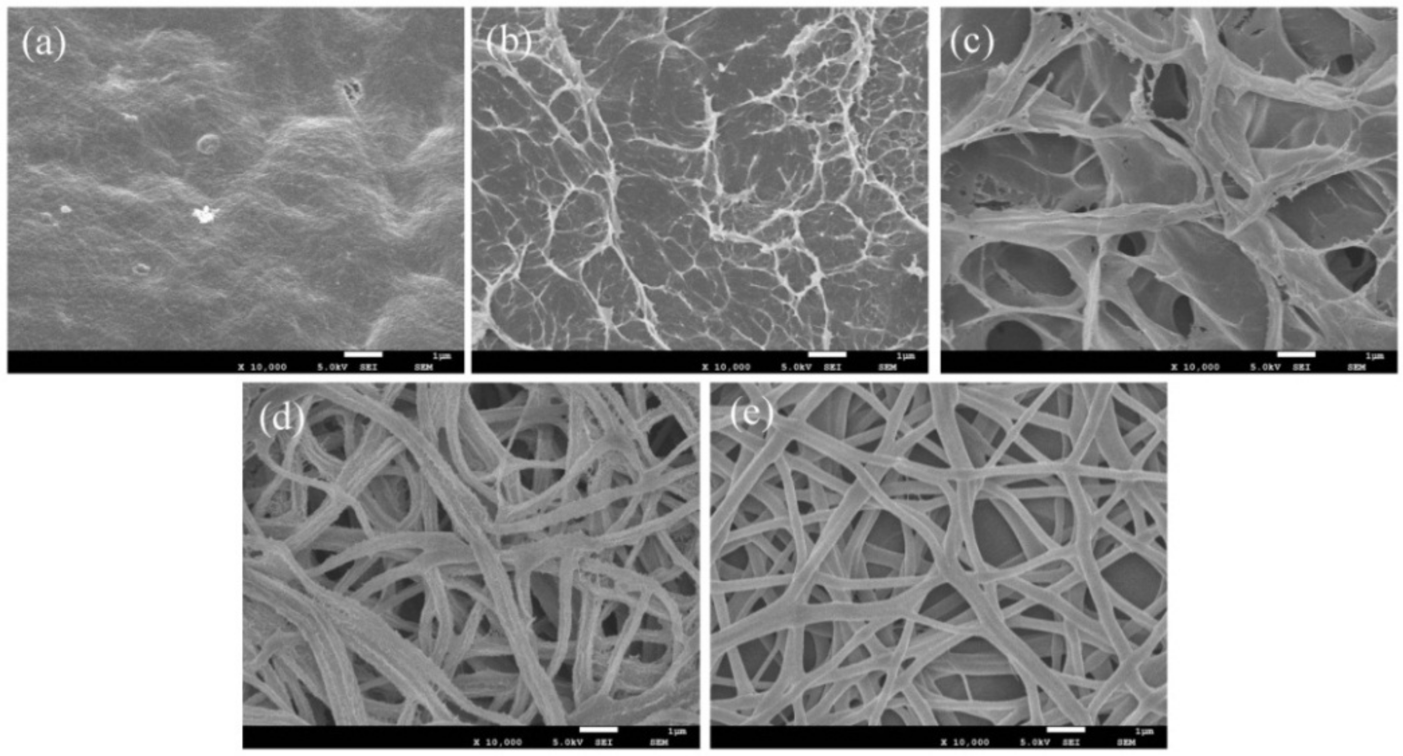 Polymers 10 01046 g005