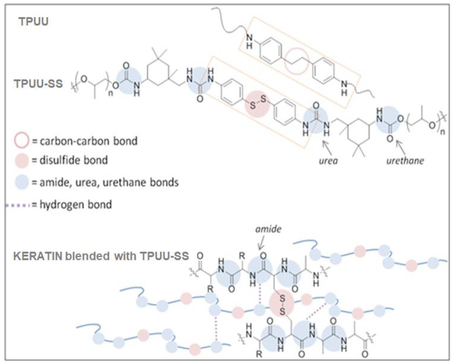 Polymers 10 01056 g001