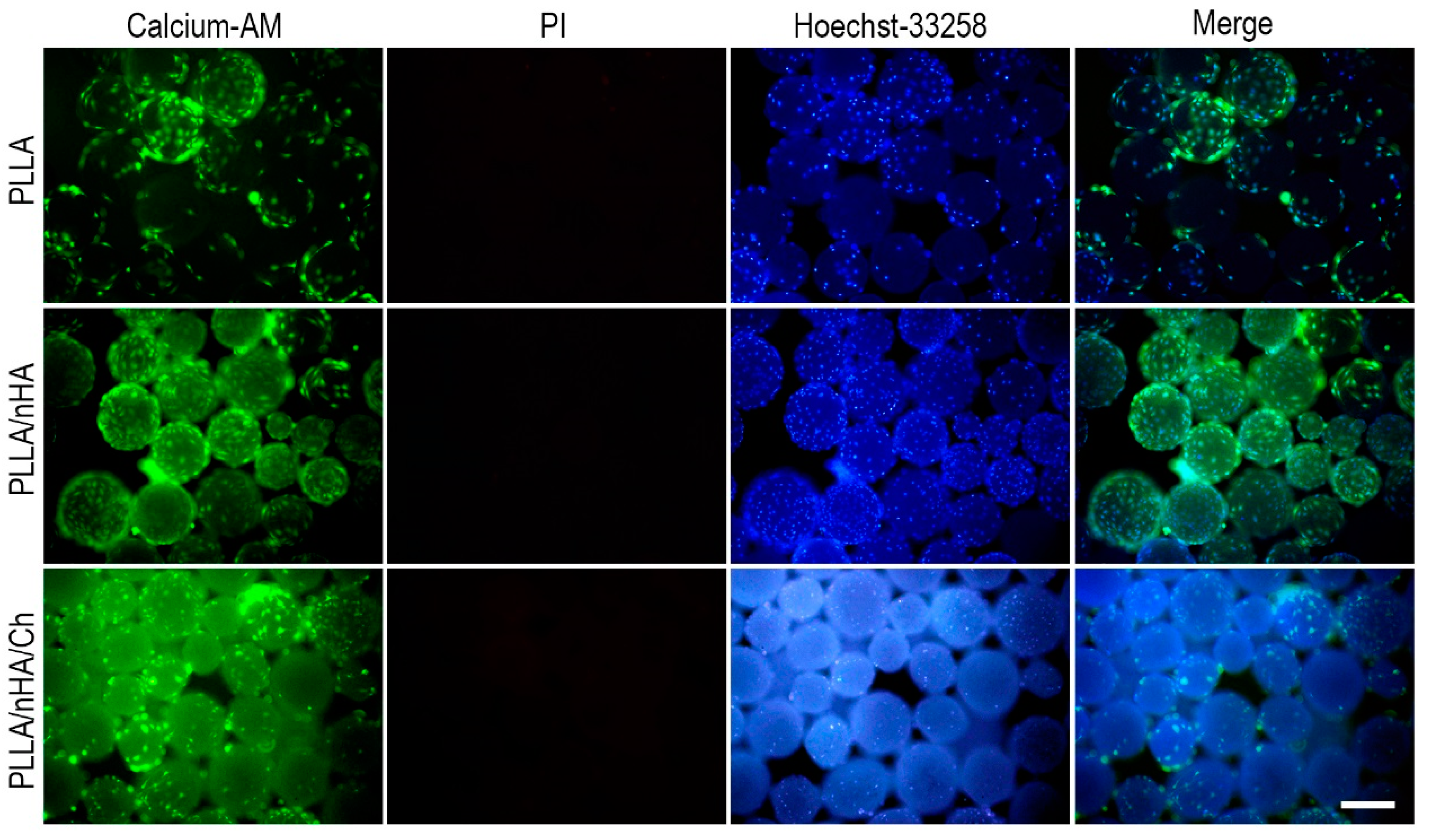 Polymers 10 01061 g006