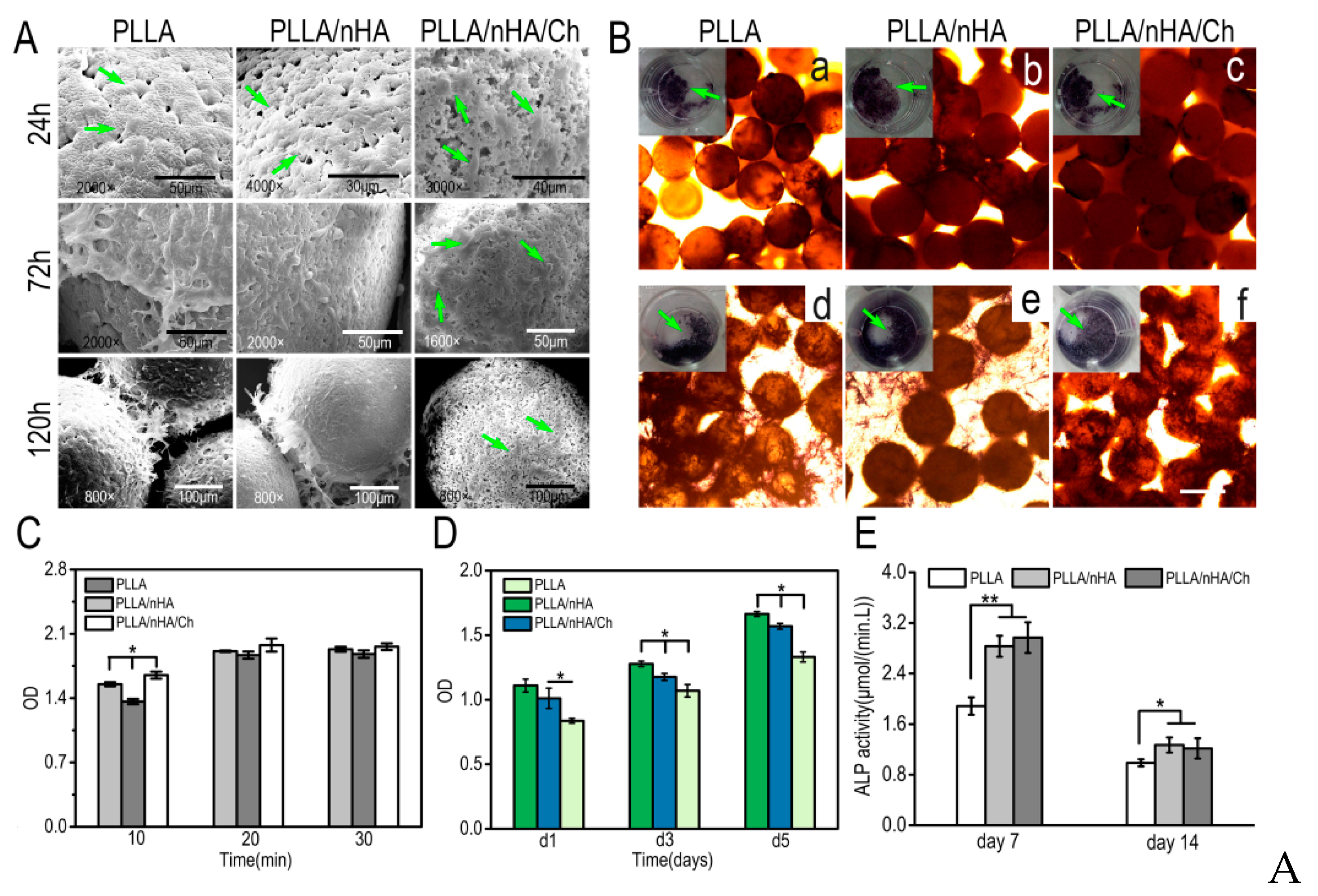 Polymers 10 01061 g009