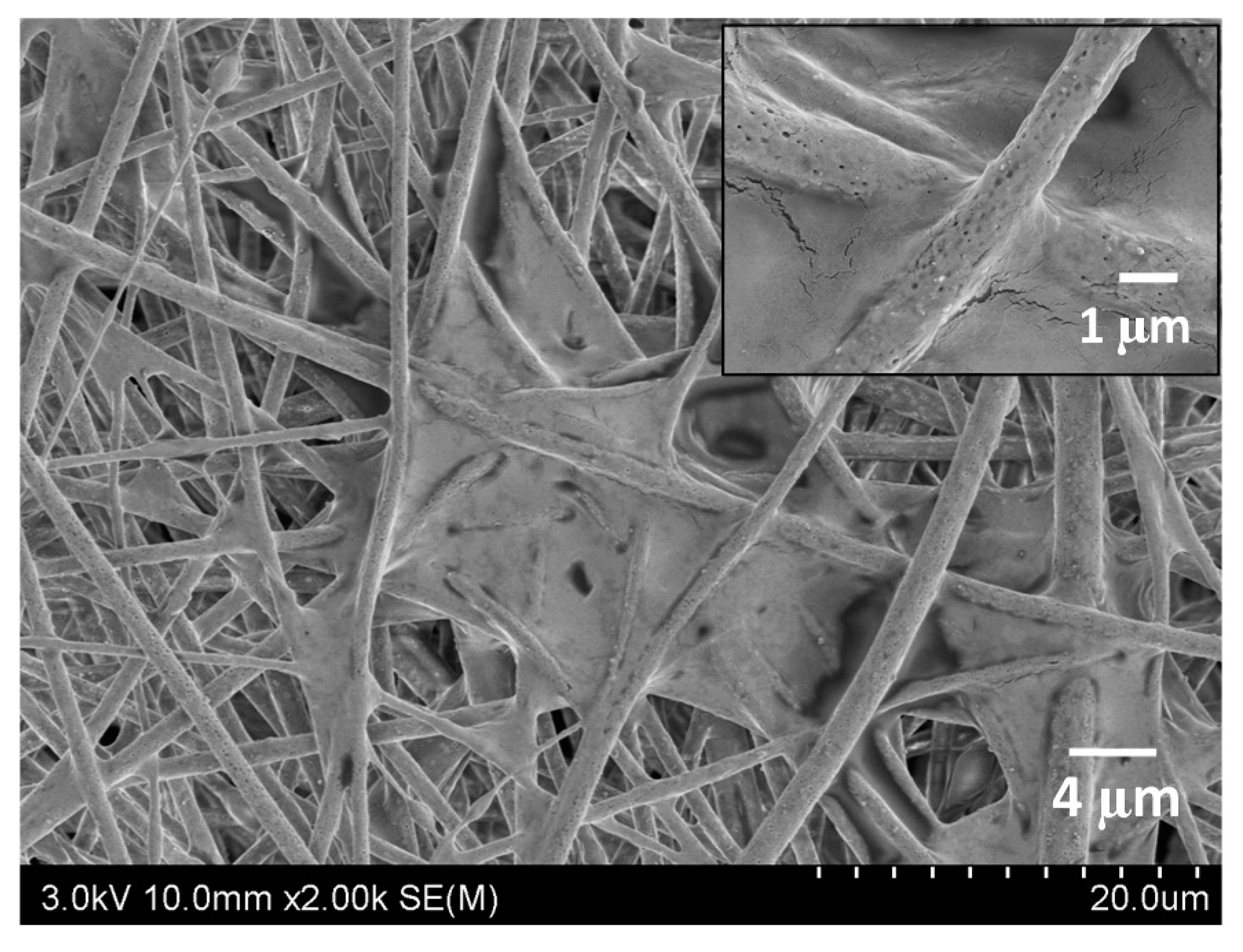 Polymers 10 01085 g009