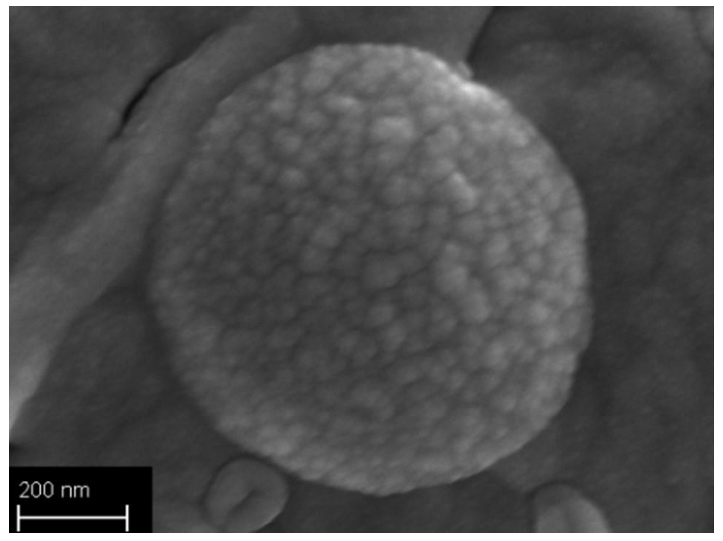 Polymers 10 01092 g003