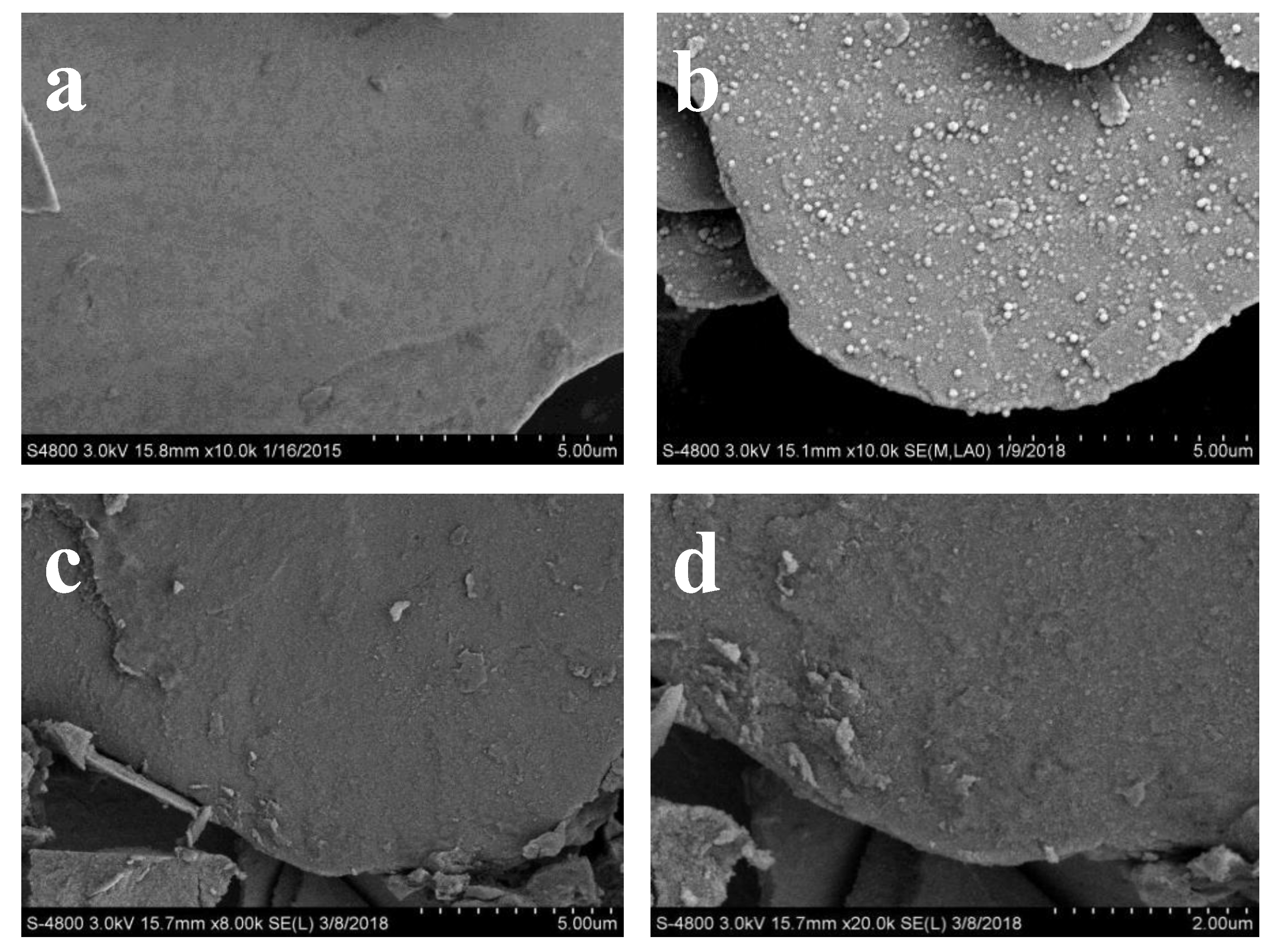 Polymers 10 01097 g008