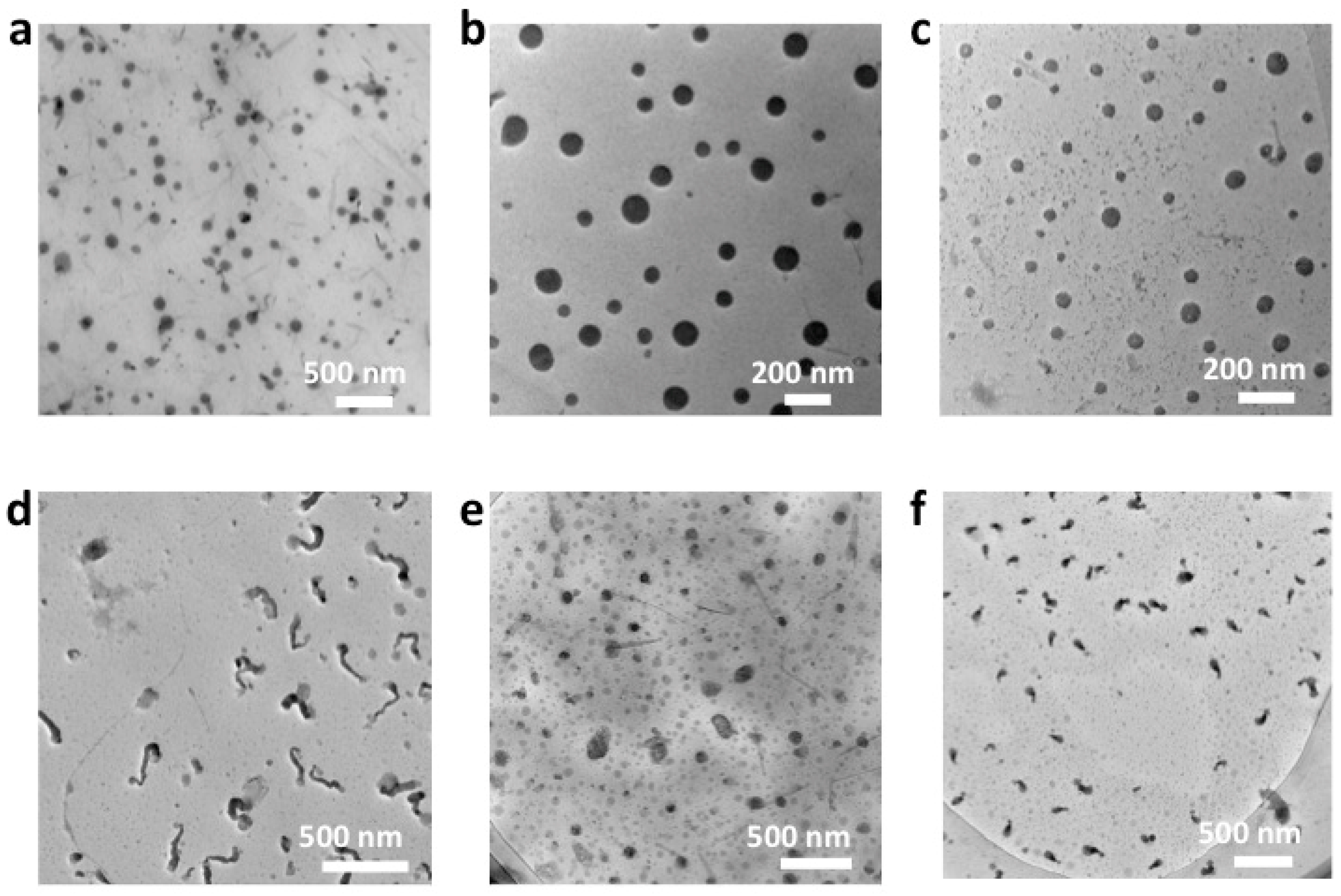 Polymers 10 01120 g001