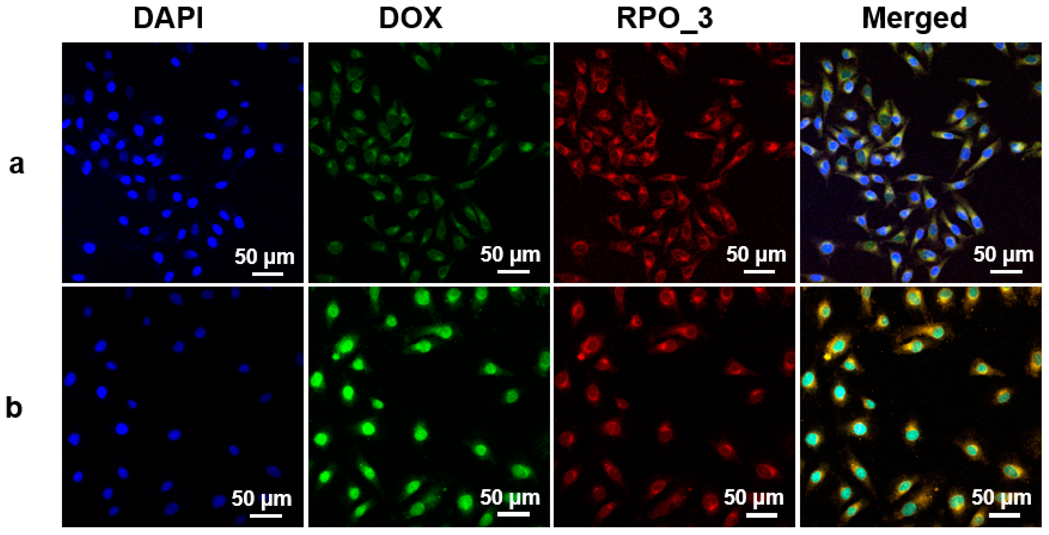 Polymers 10 01120 g004