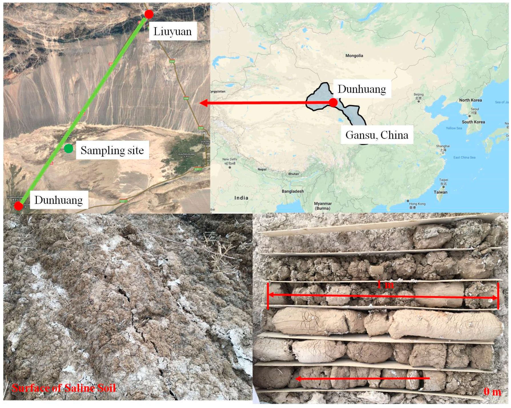 Polymers 11 00090 g001