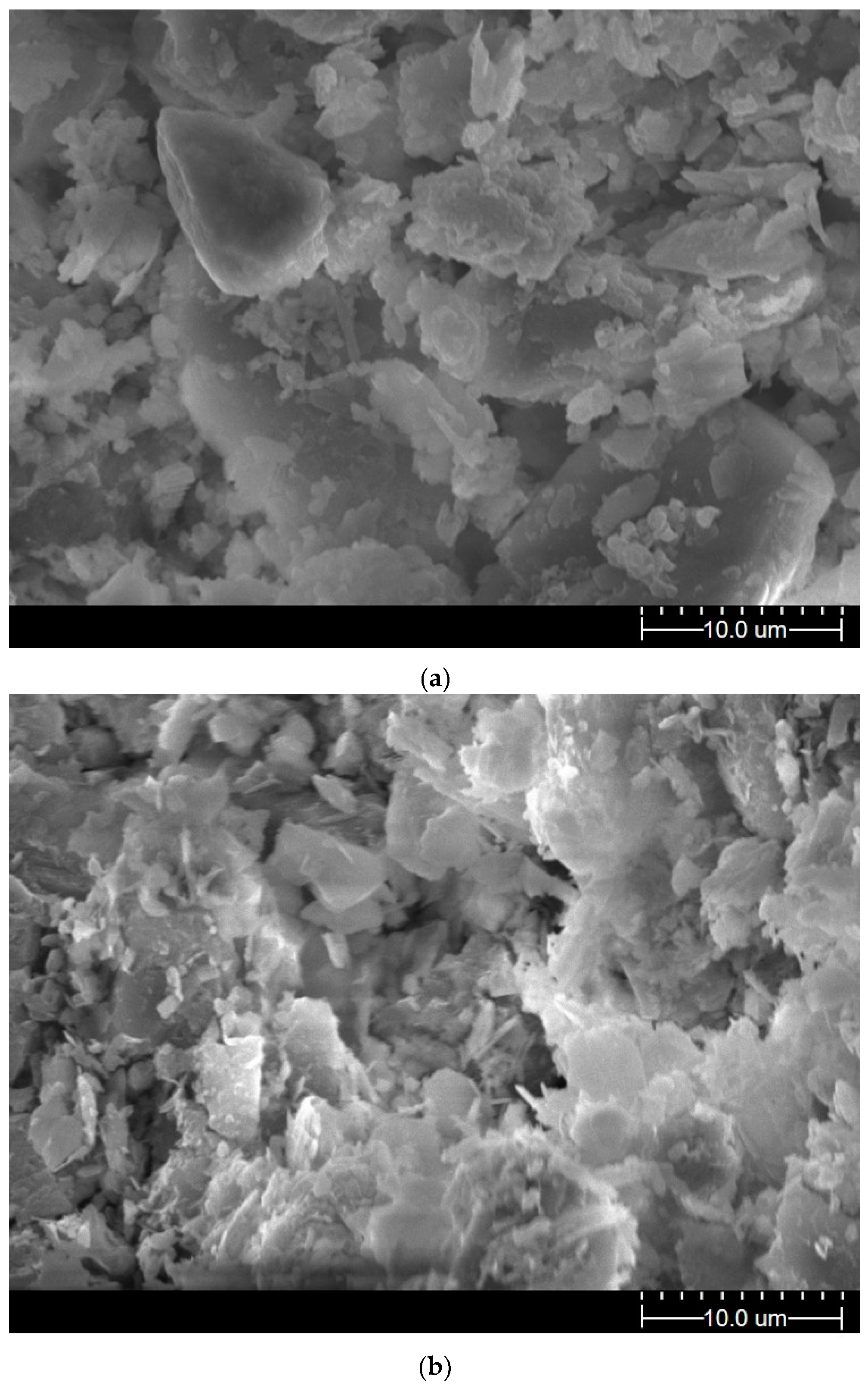 Polymers 11 00090 g007