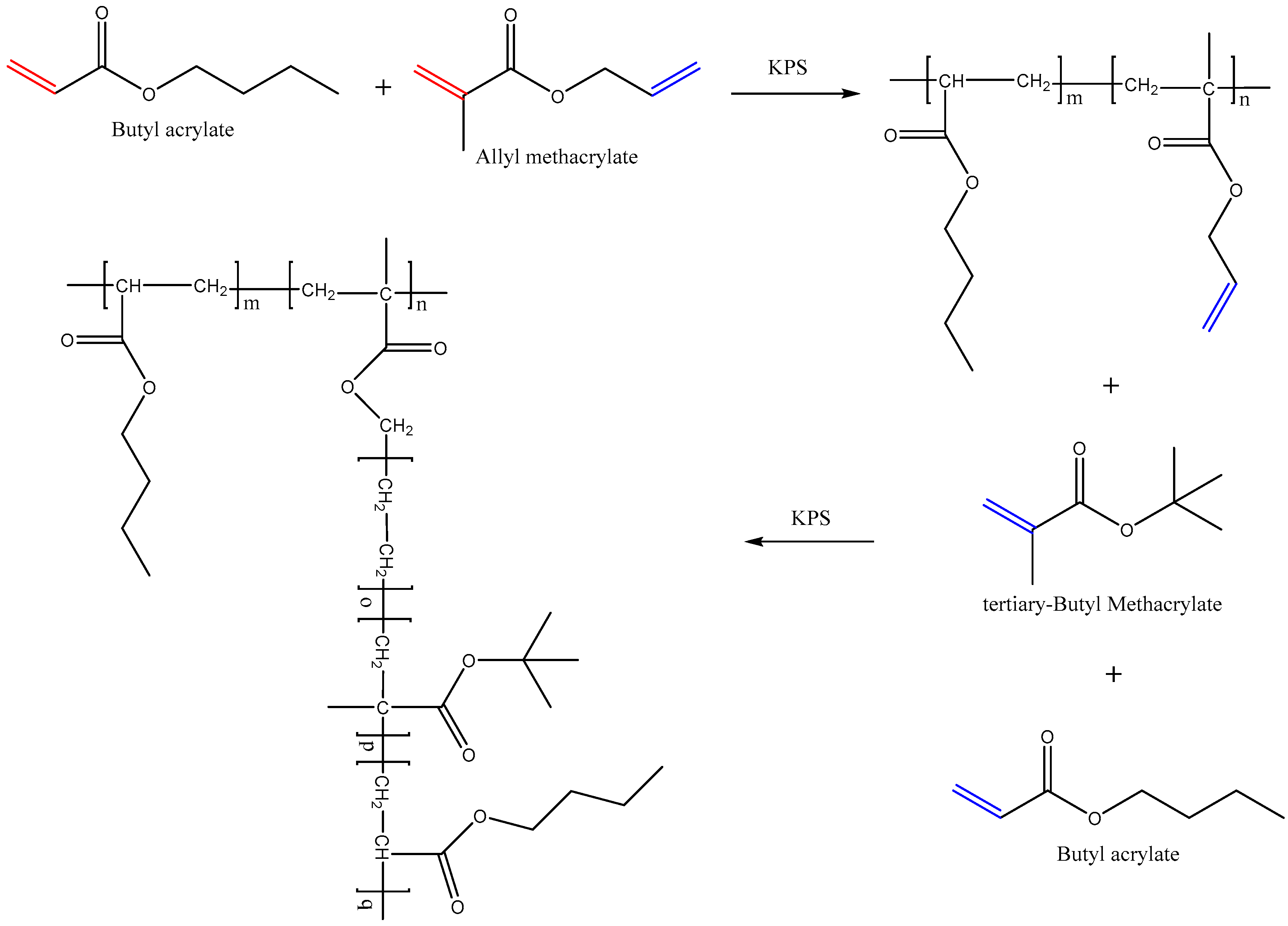 Polymers 11 00322 sch001