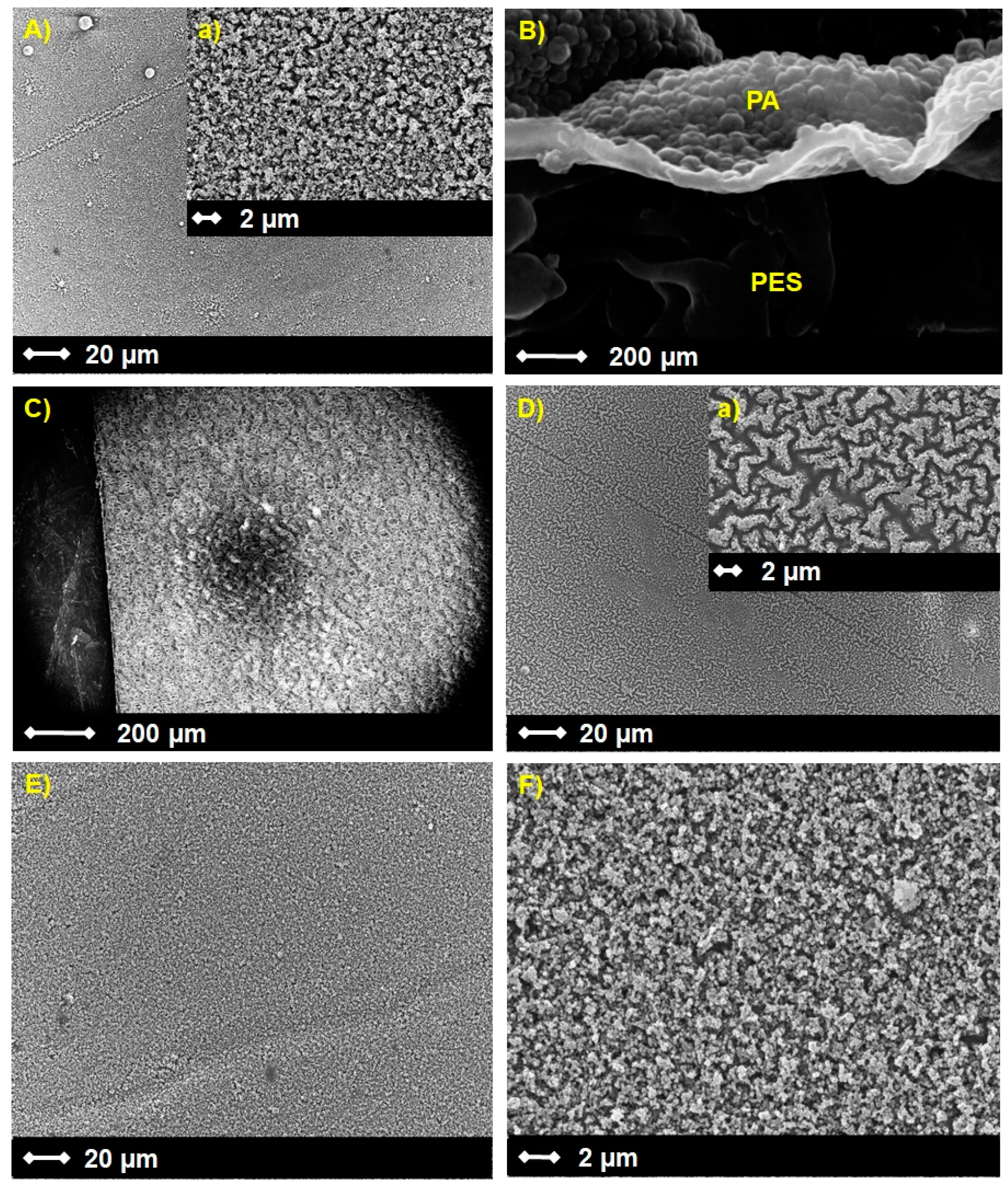 Polymers 11 00344 g003
