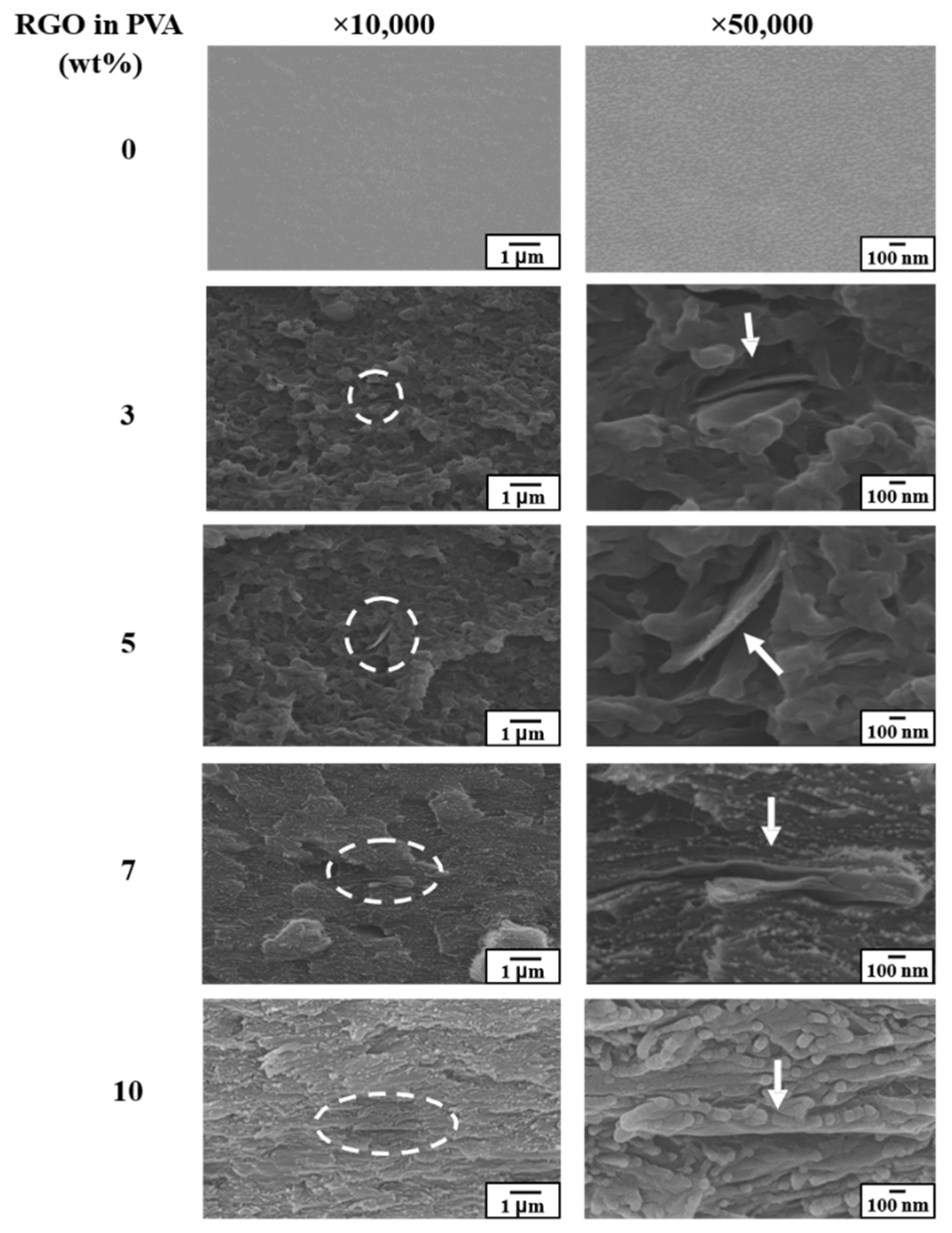 Polymers 11 00450 g006