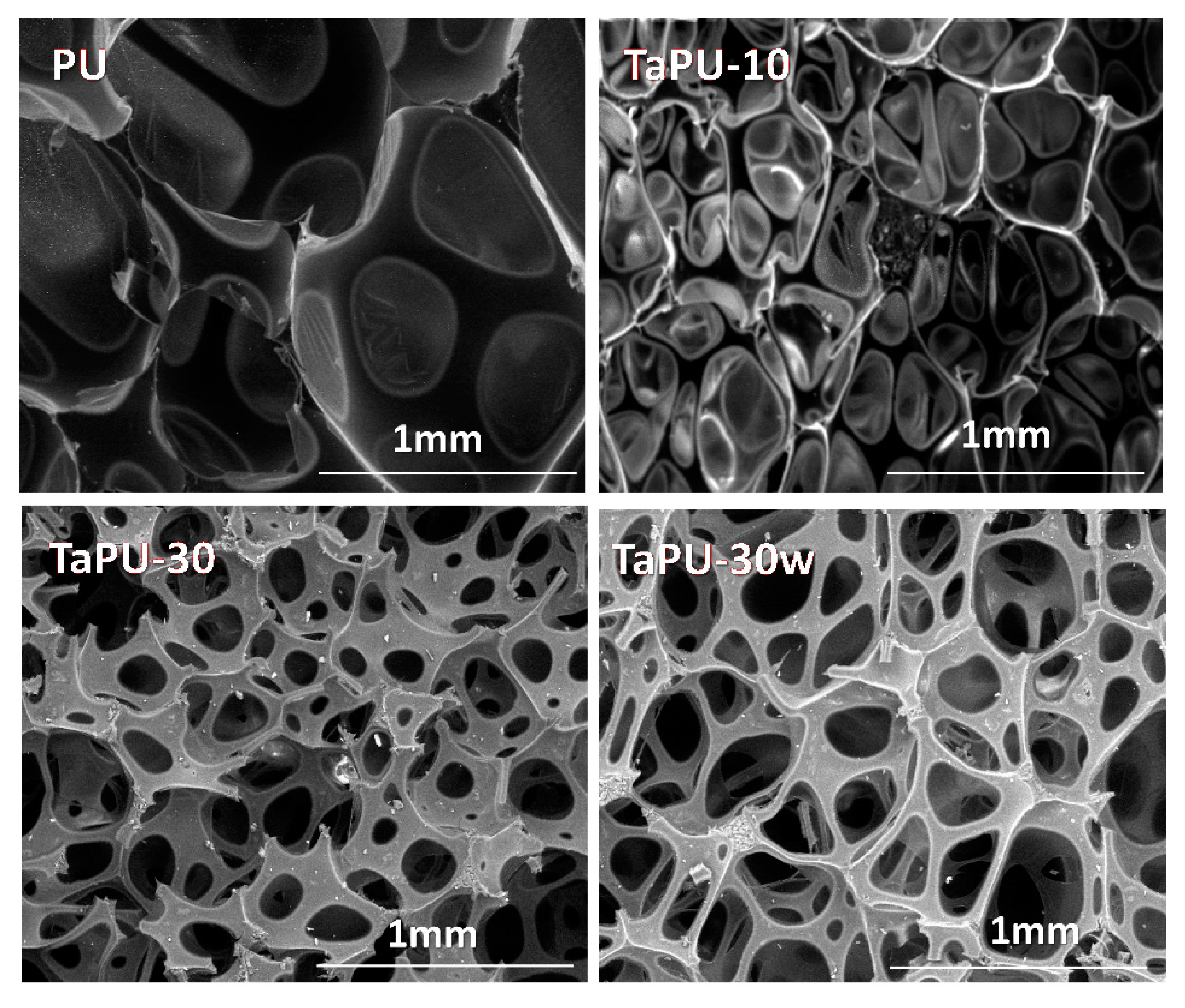 Polymers 11 00480 g004