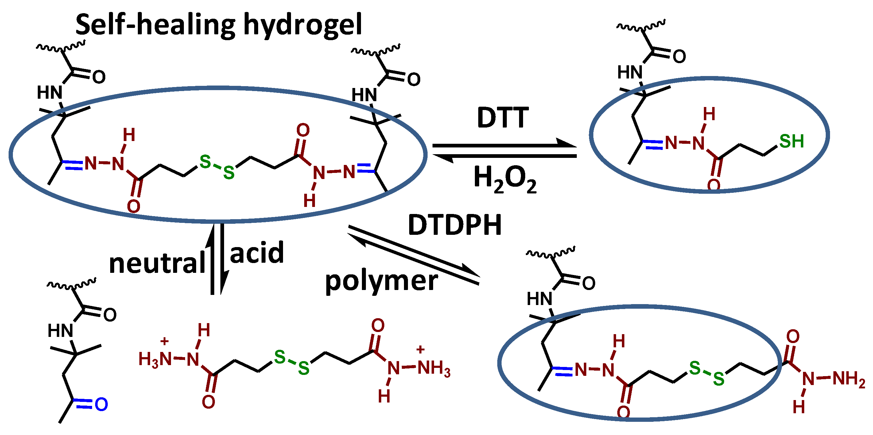 Polymers 11 00490 sch003
