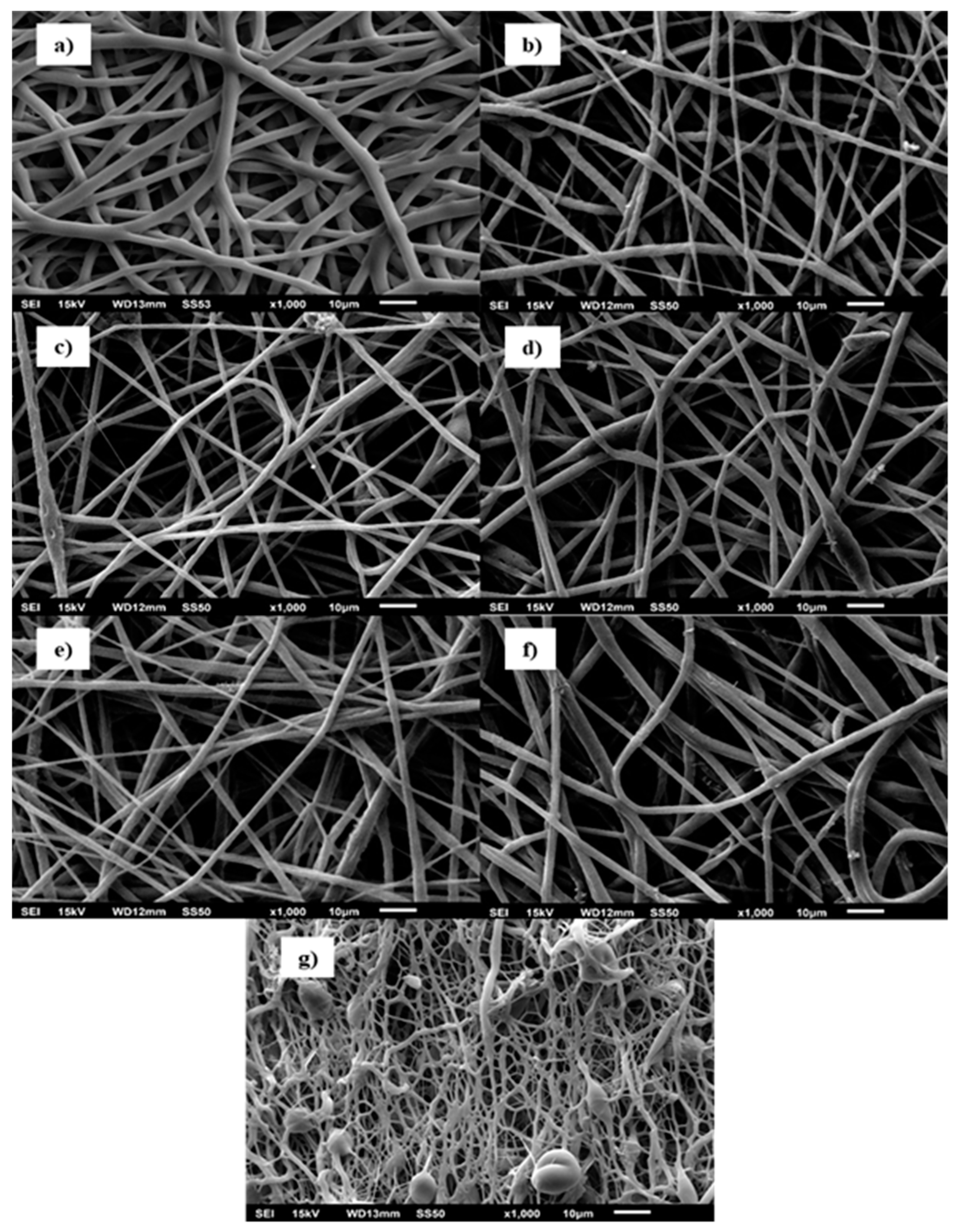 Polymers 11 00550 g002