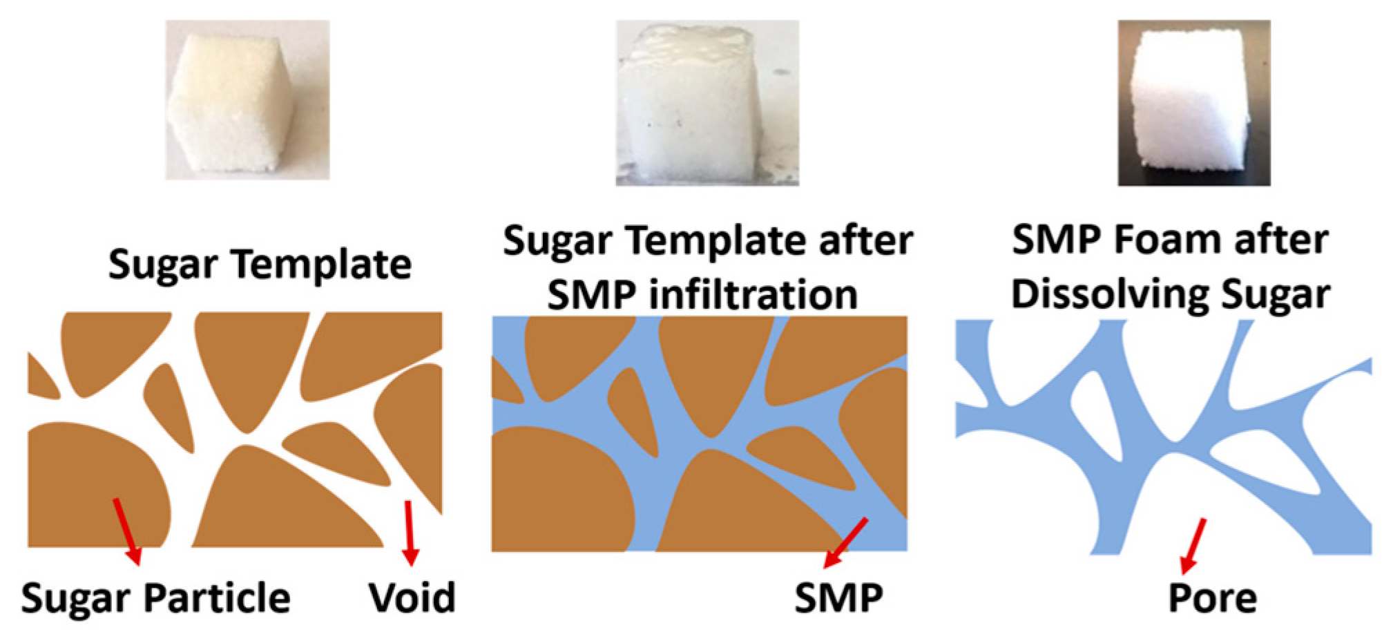 Polymers 11 00631 g001