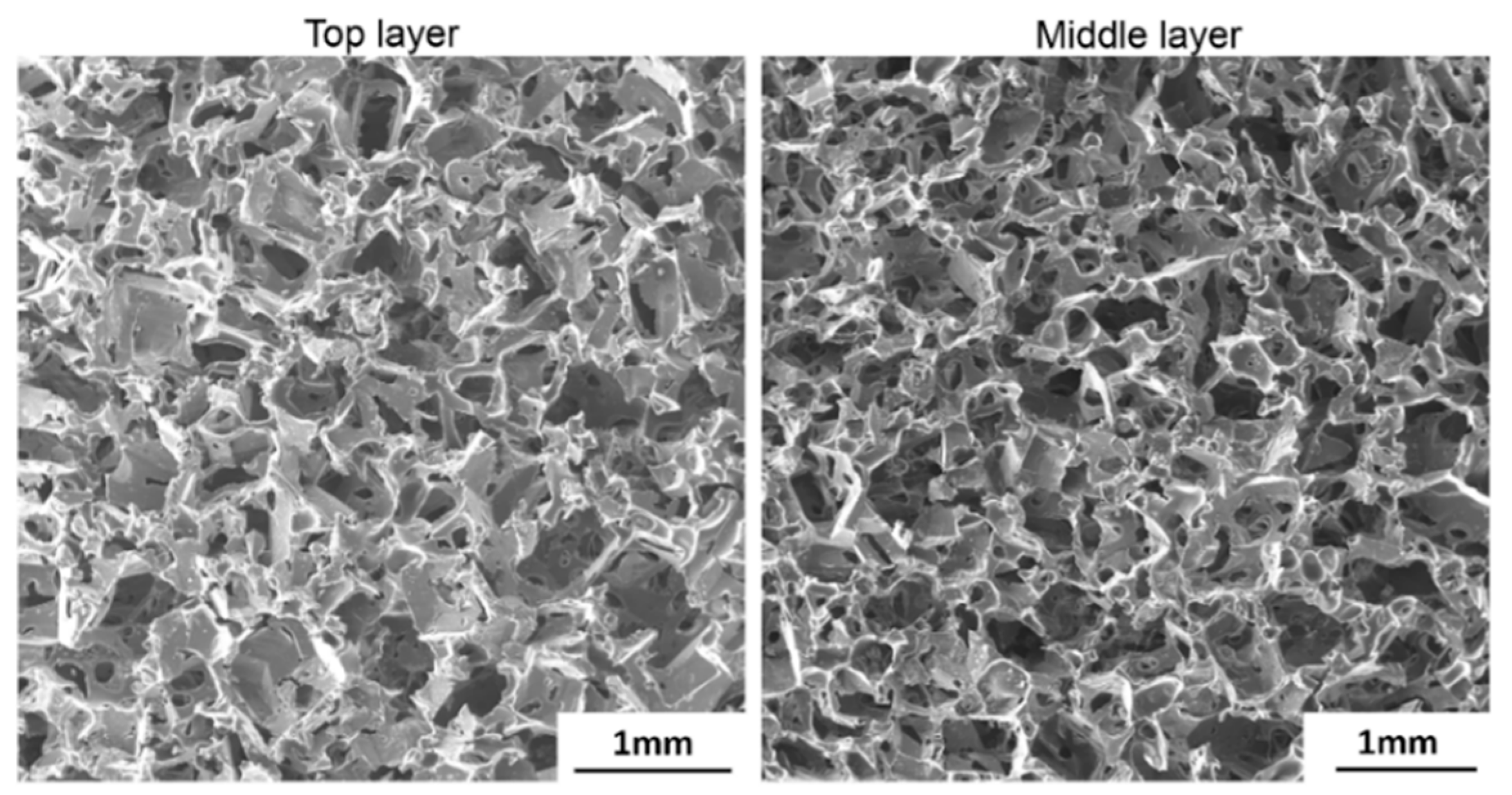 Polymers 11 00631 g004