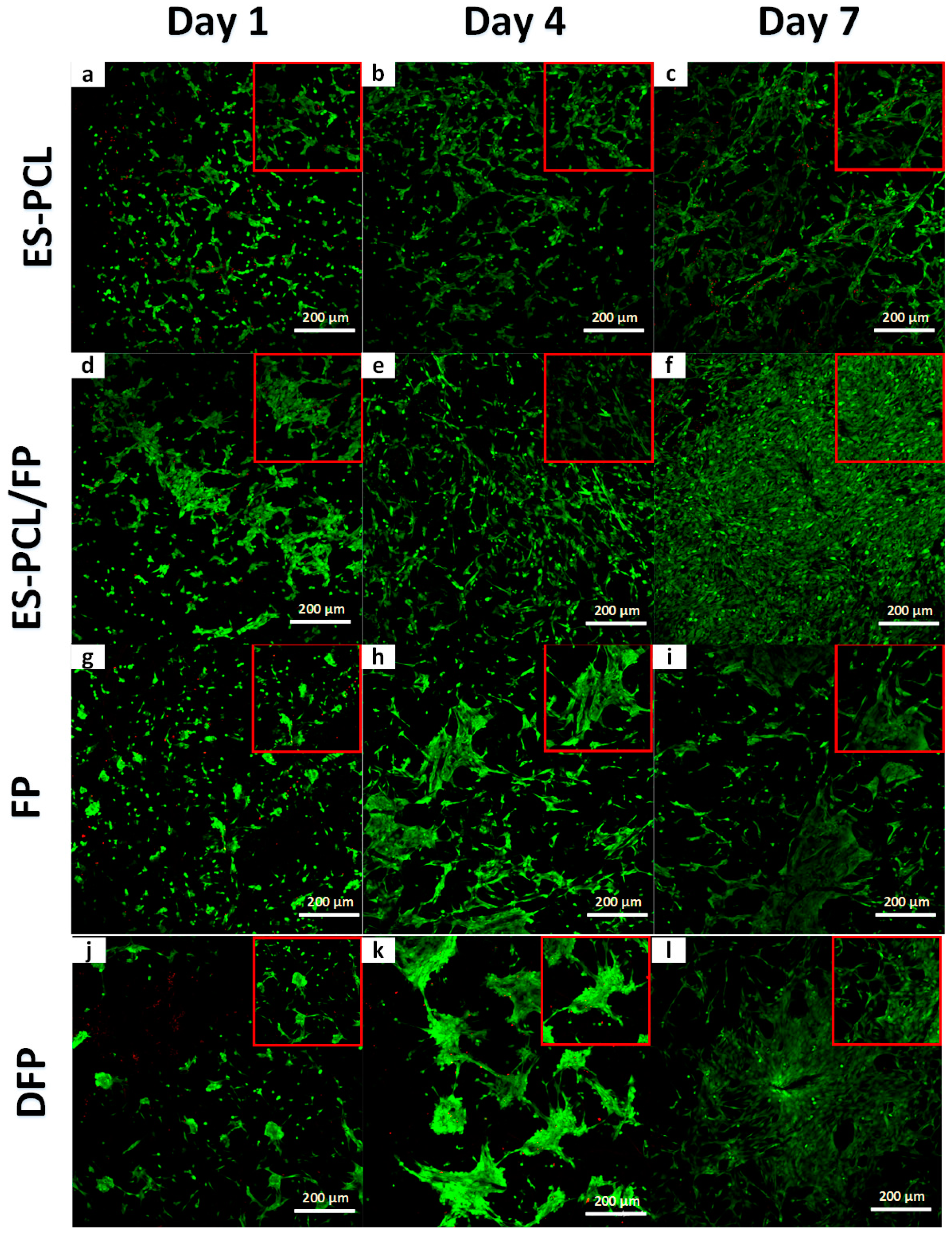 Polymers 11 00650 g005