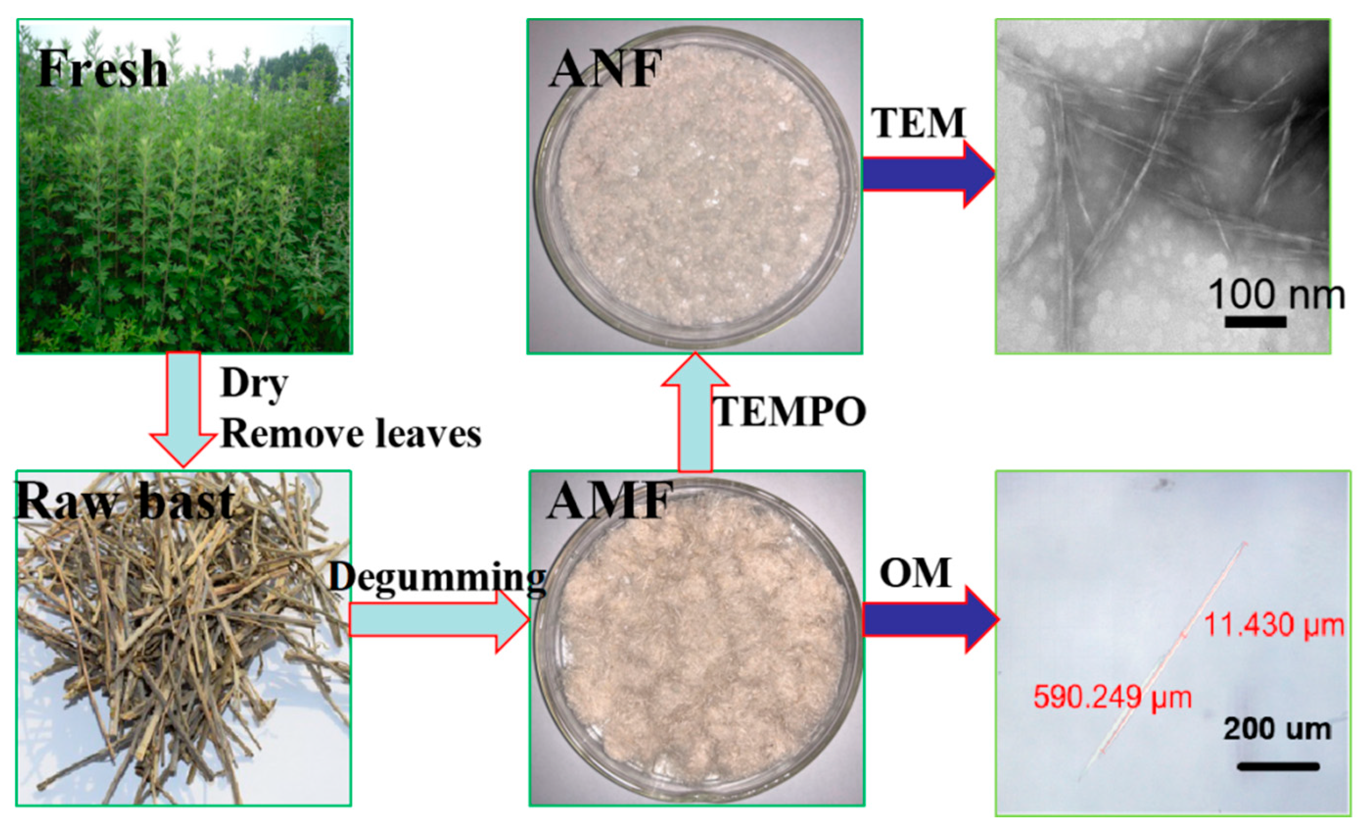 Polymers 11 00907 g001