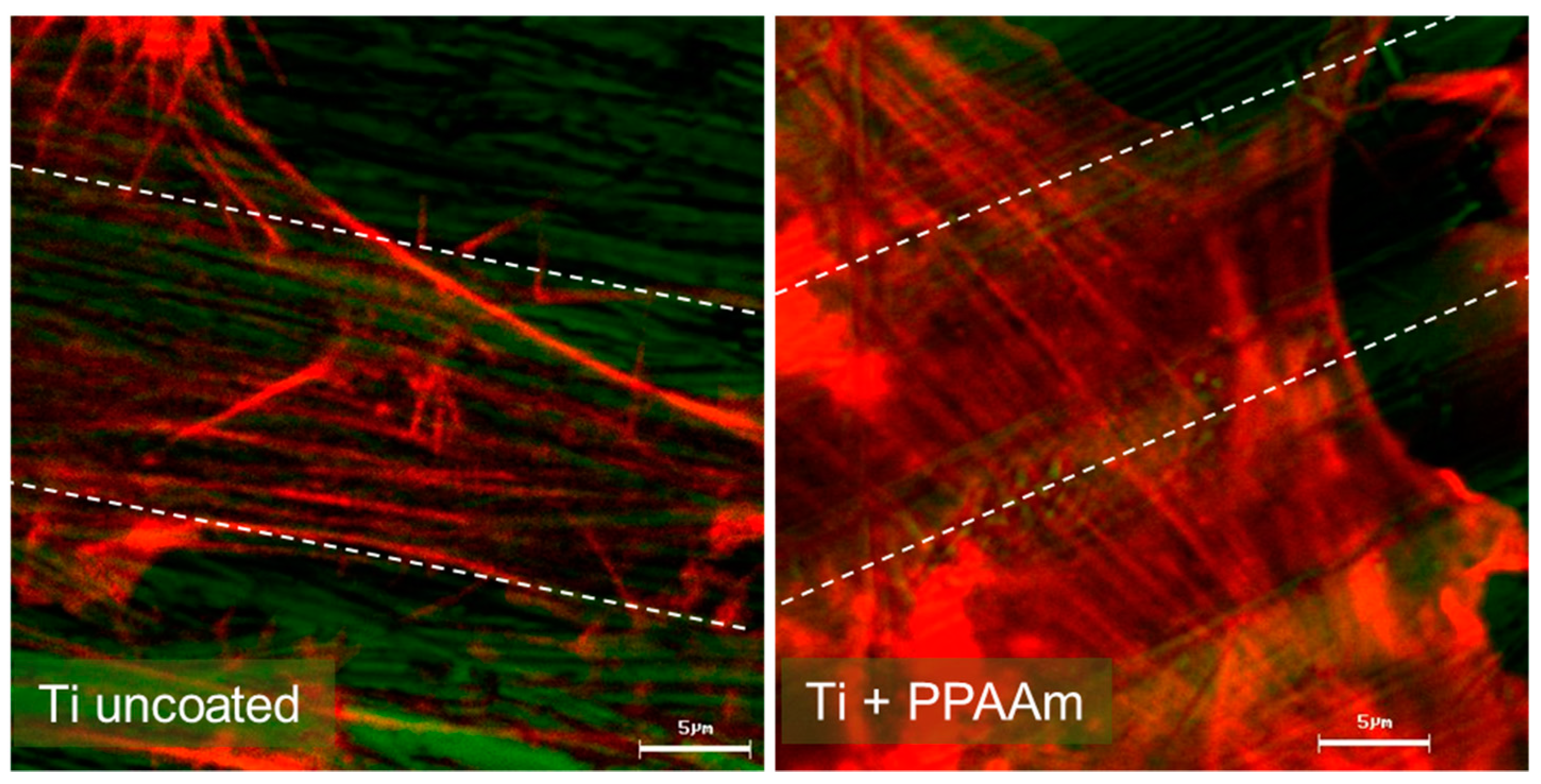 Polymers 11 01004 g001