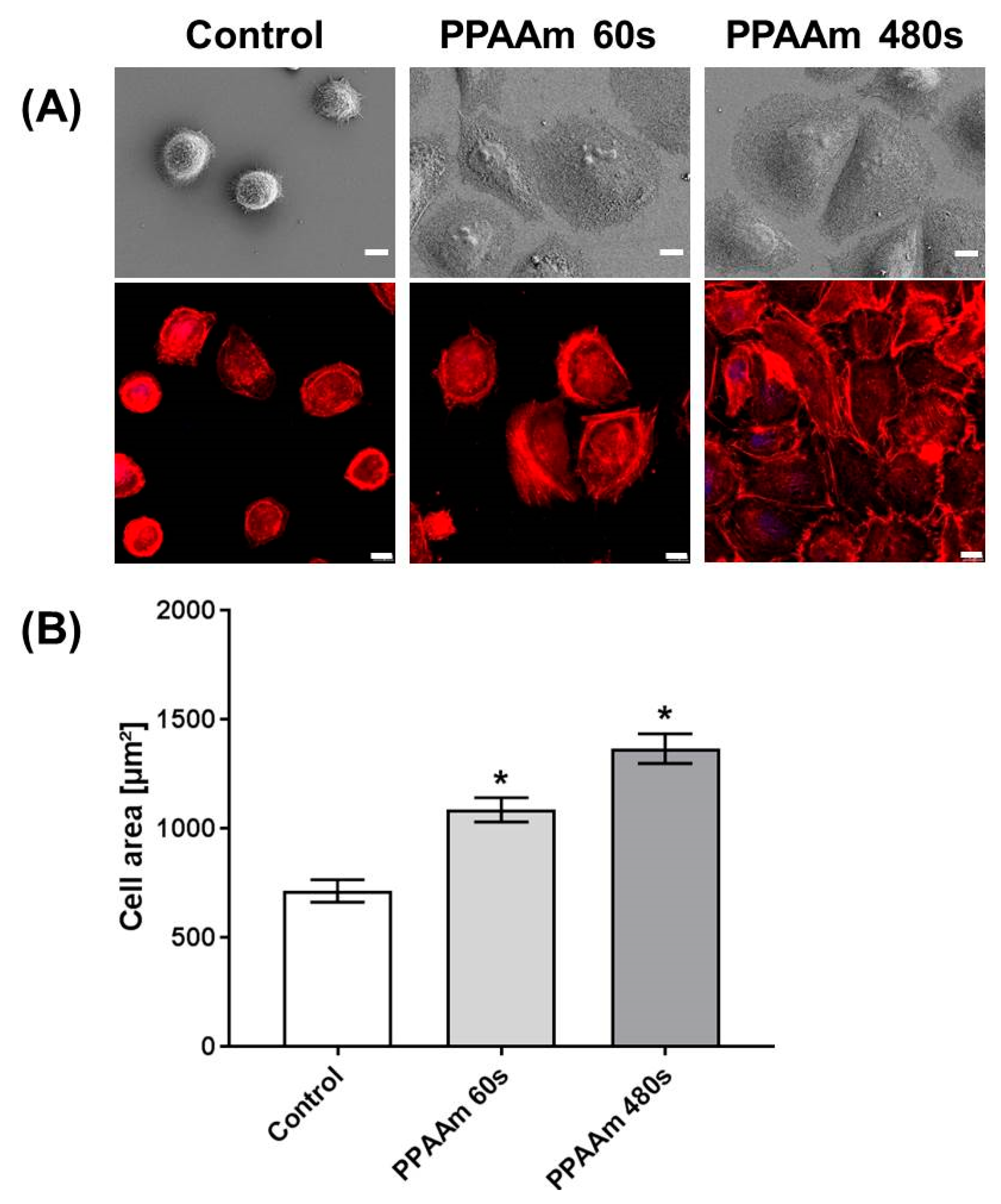 Polymers 11 01004 g010