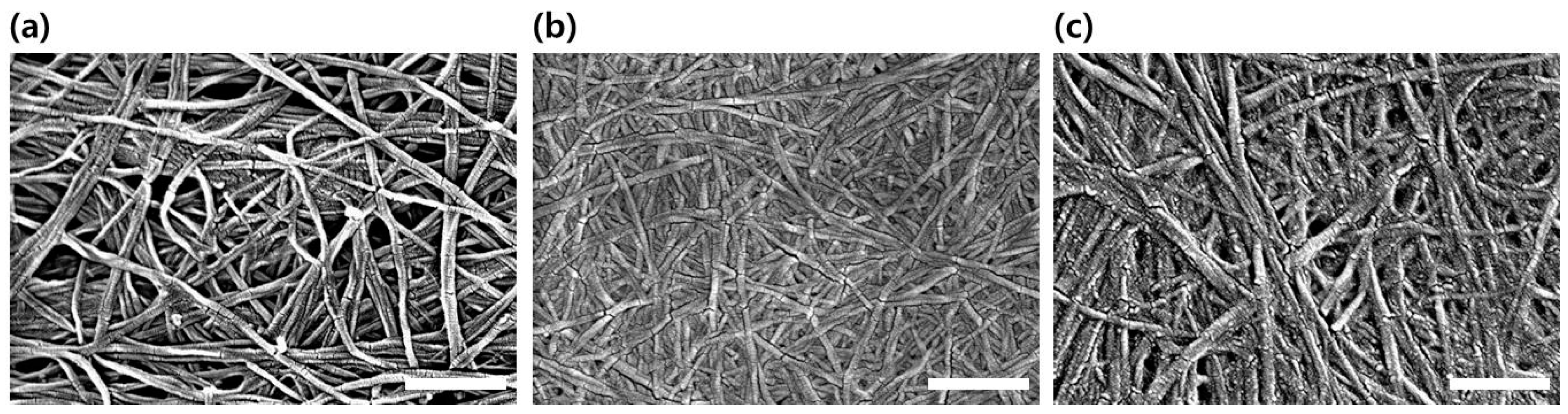 Polymers 11 01044 g003