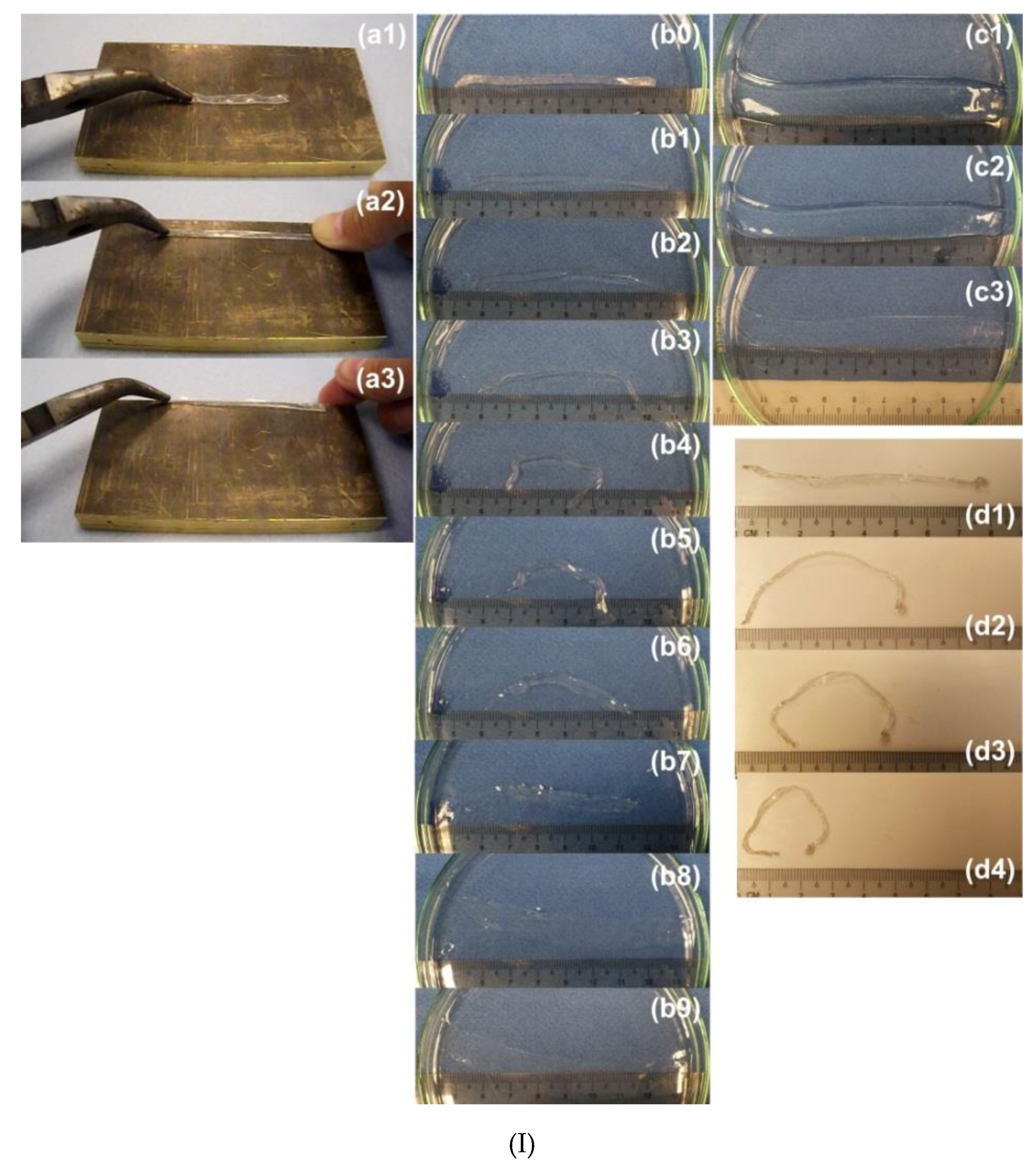 Polymers 11 01049 g022a