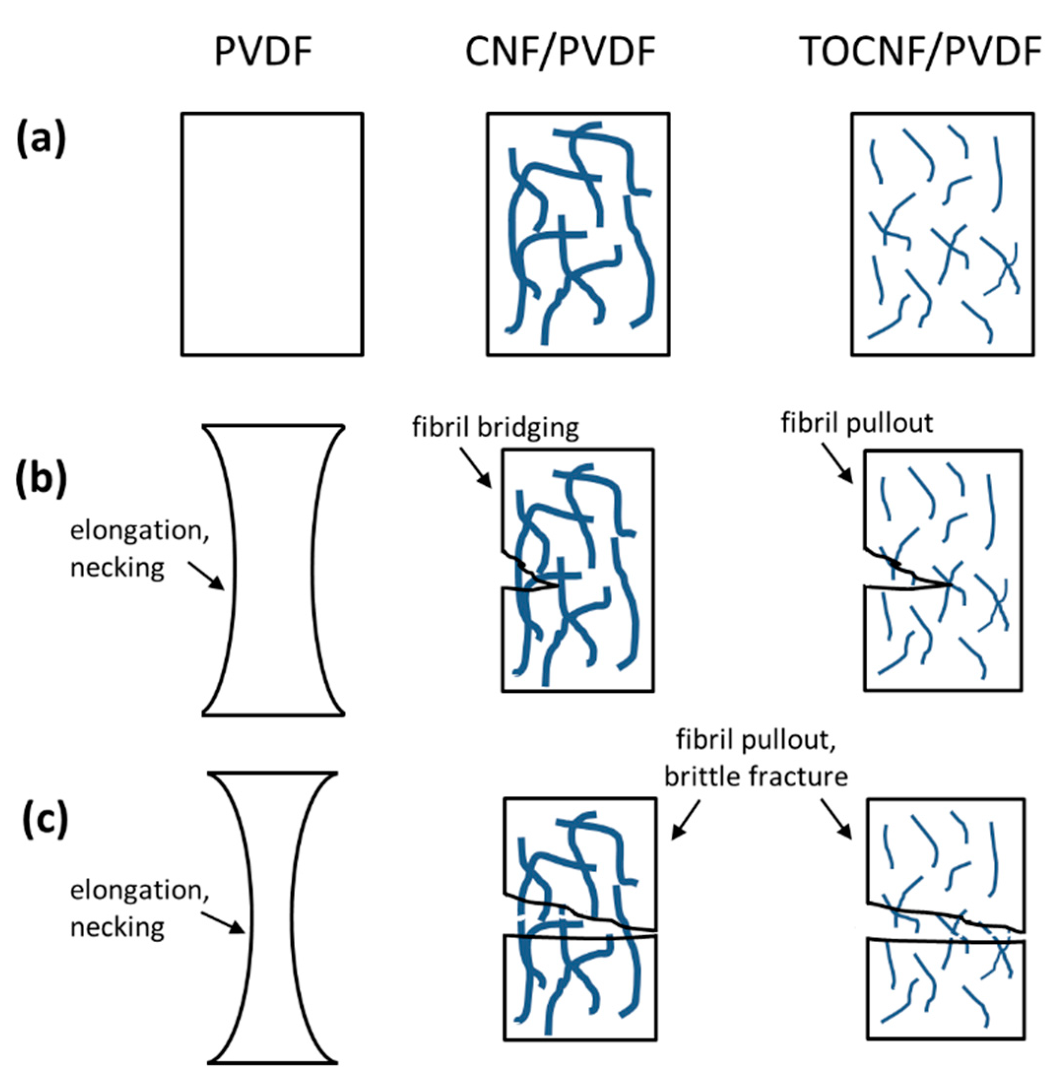 Polymers 11 01091 g013